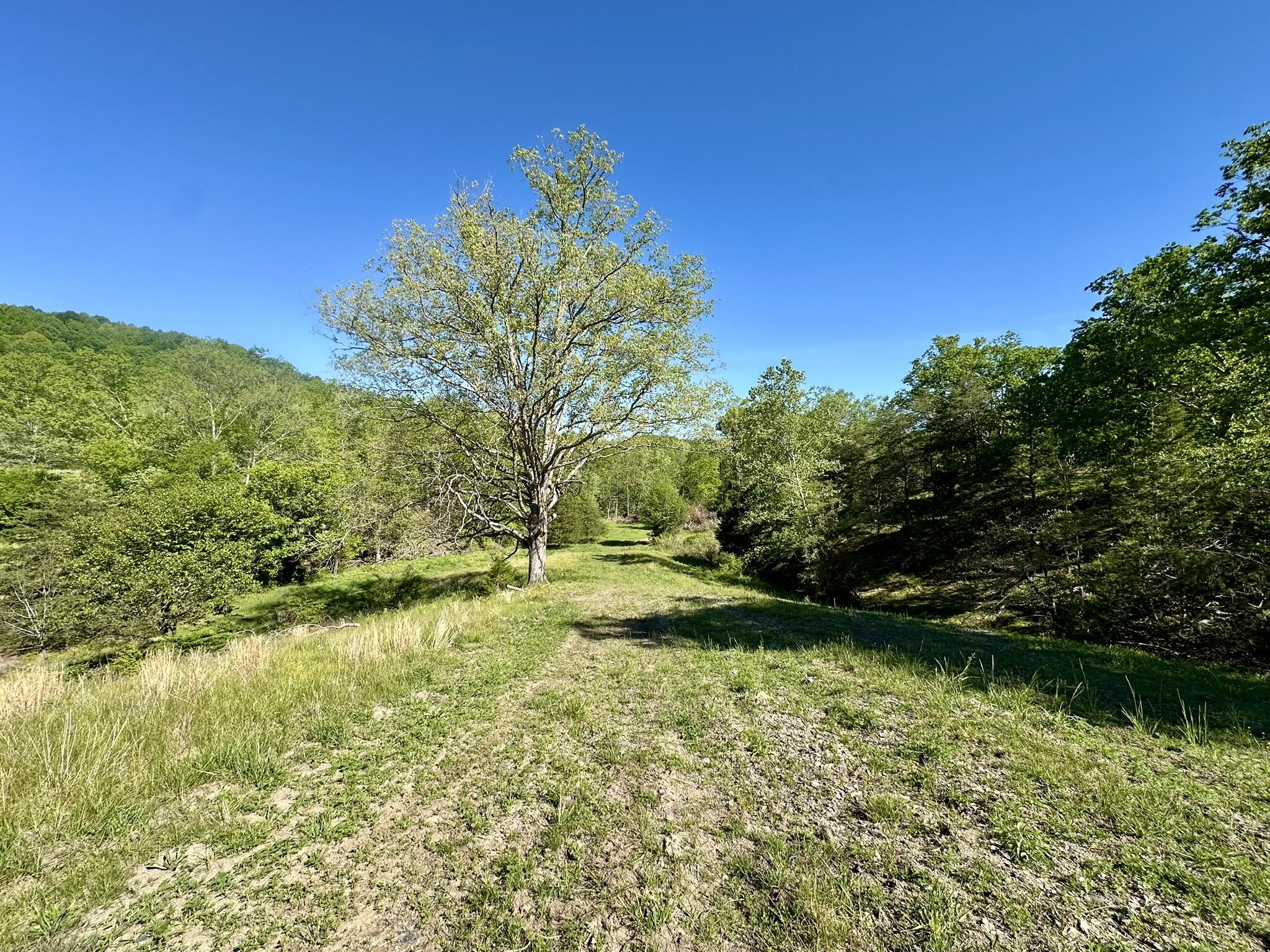 1170 E Doe Creek Road Property Photo 45