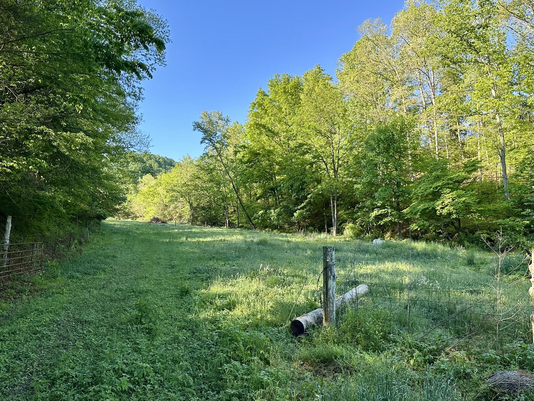 1170 E Doe Creek Road Property Photo 46