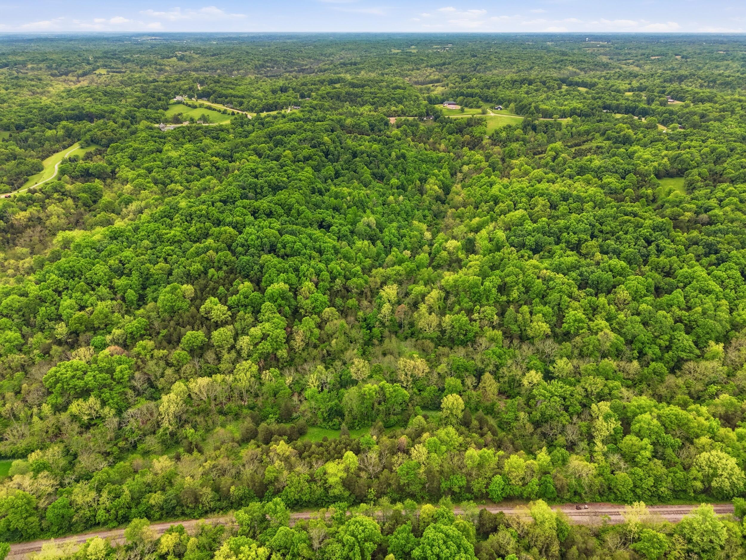 10118 Benson Pike Property Photo 3