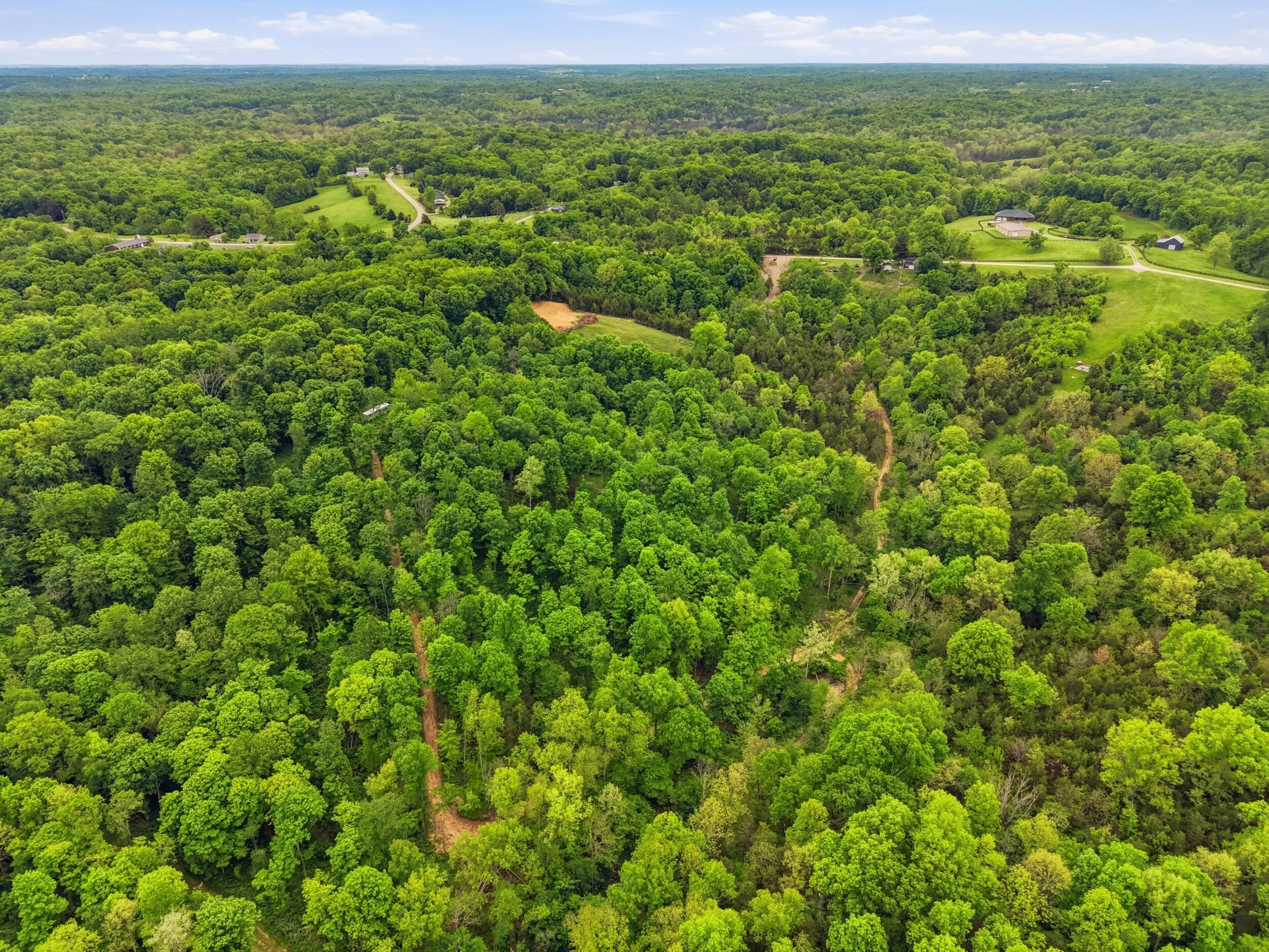 10118 Benson Pike Property Photo 13