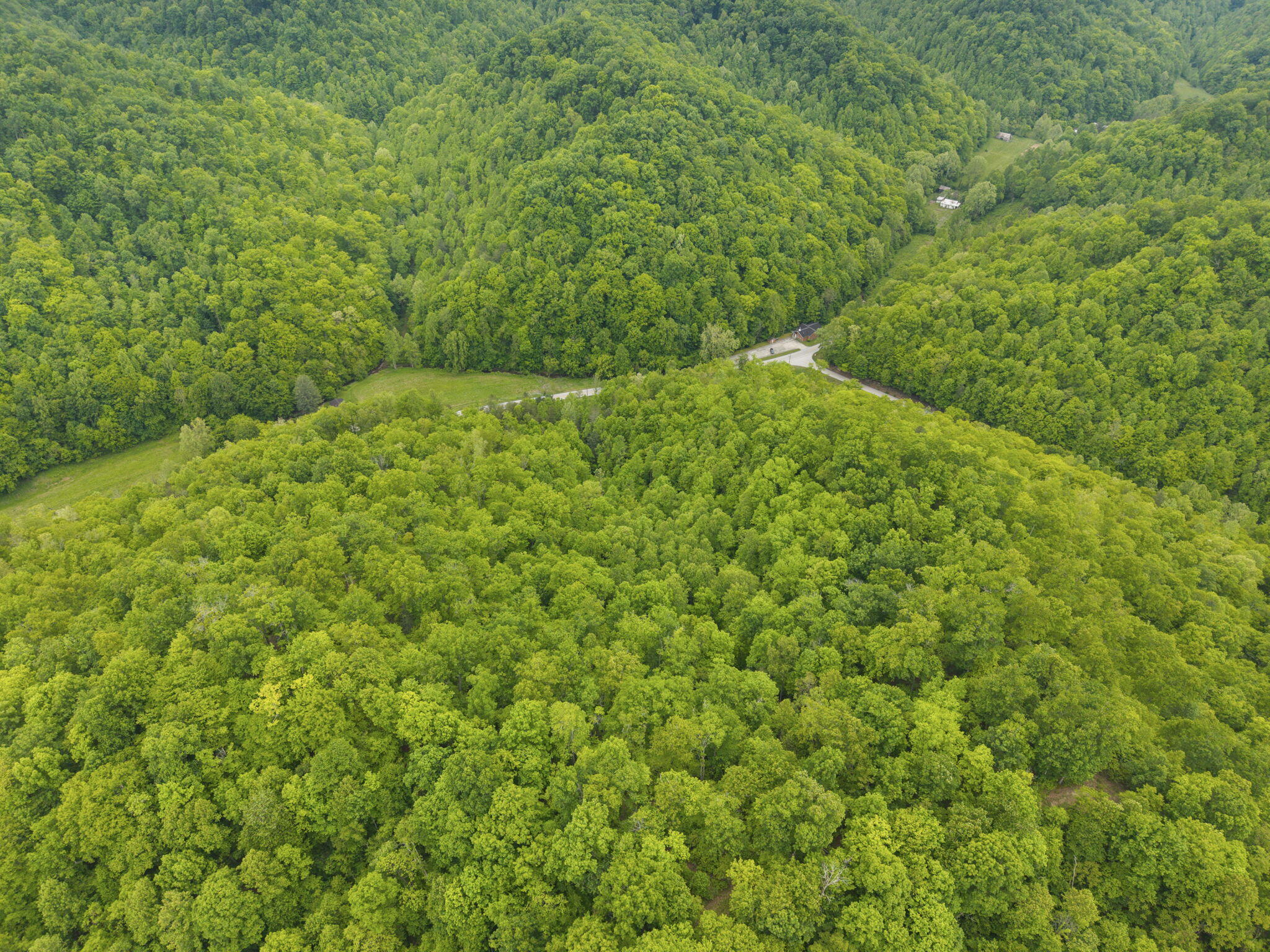 0 Jetts Creek Road Property Photo 8