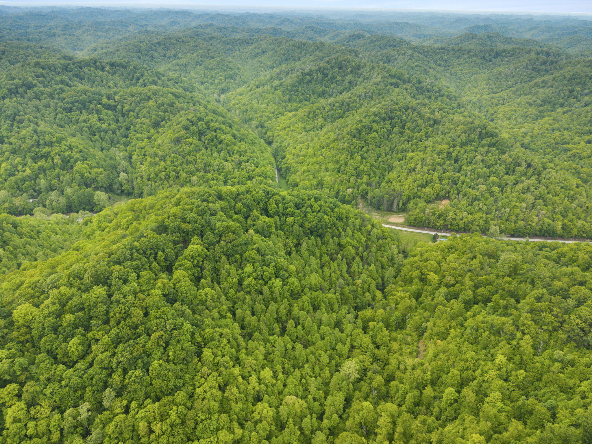 0 Jetts Creek Road Property Photo 13