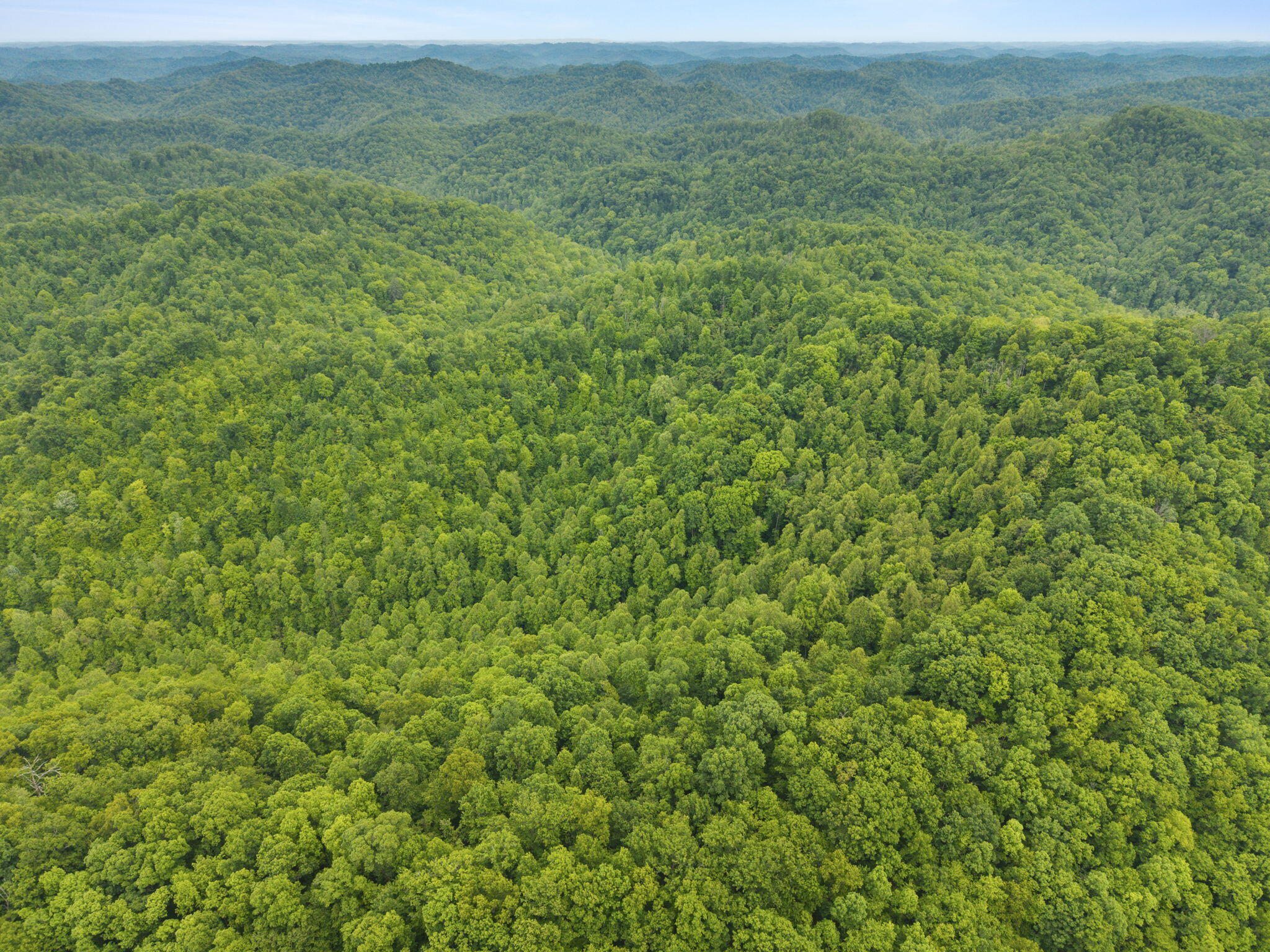 0 Jetts Creek Road Property Photo 15