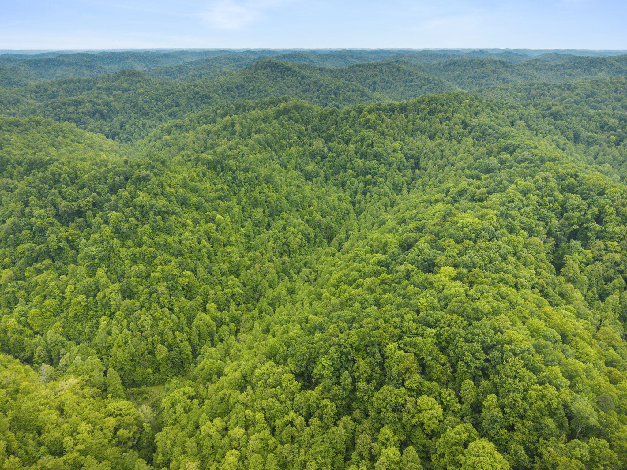 0 Jetts Creek Road Property Photo 17