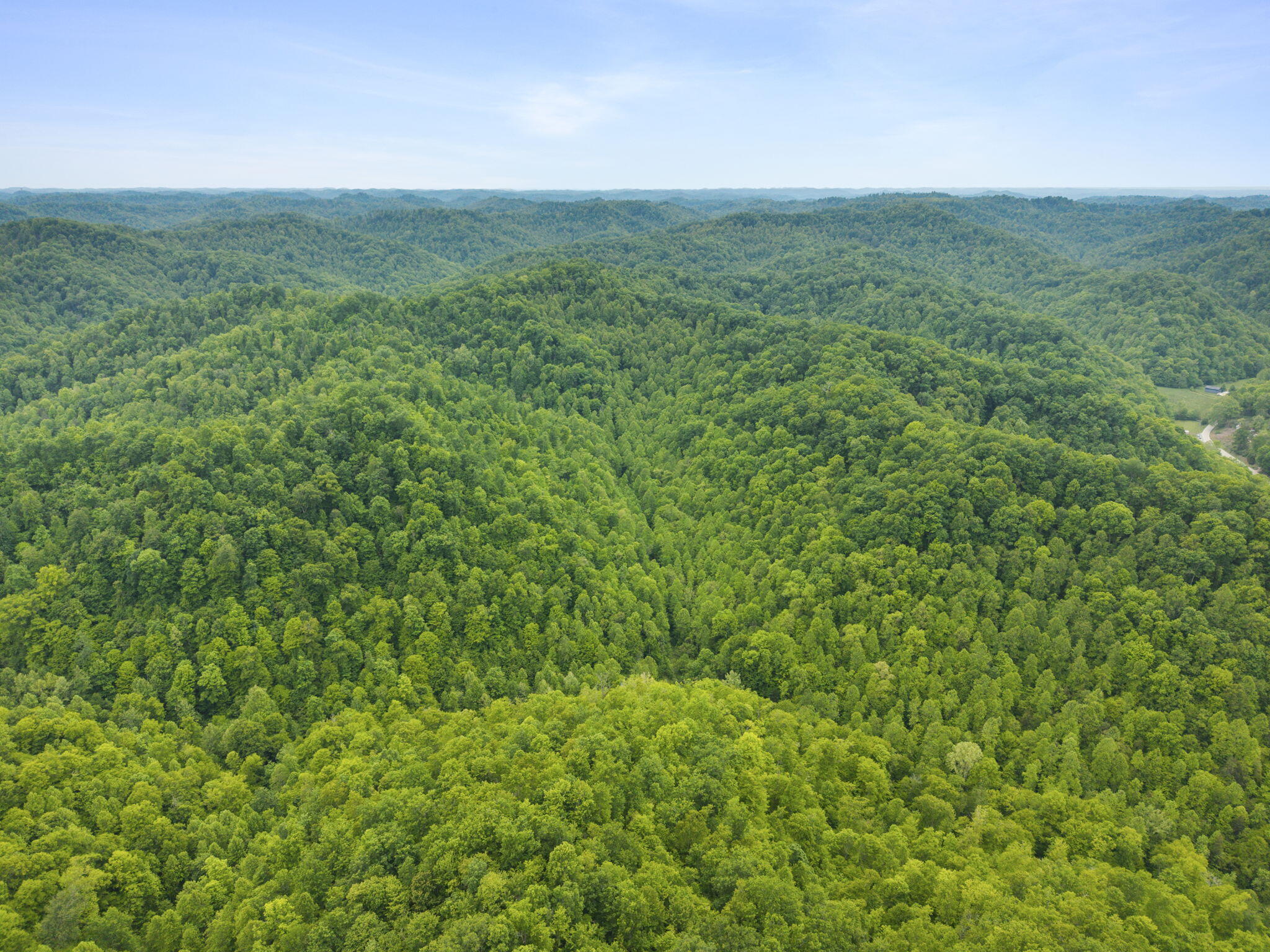 0 Jetts Creek Road Property Photo 19