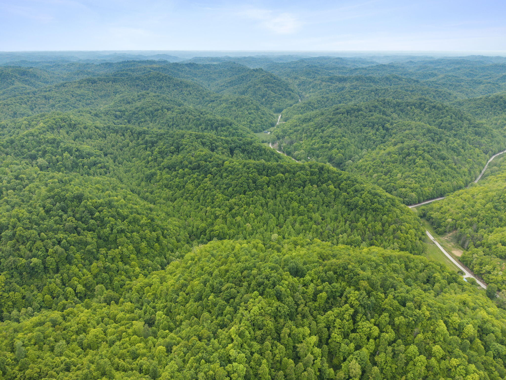 0 Jetts Creek Road Property Photo 20