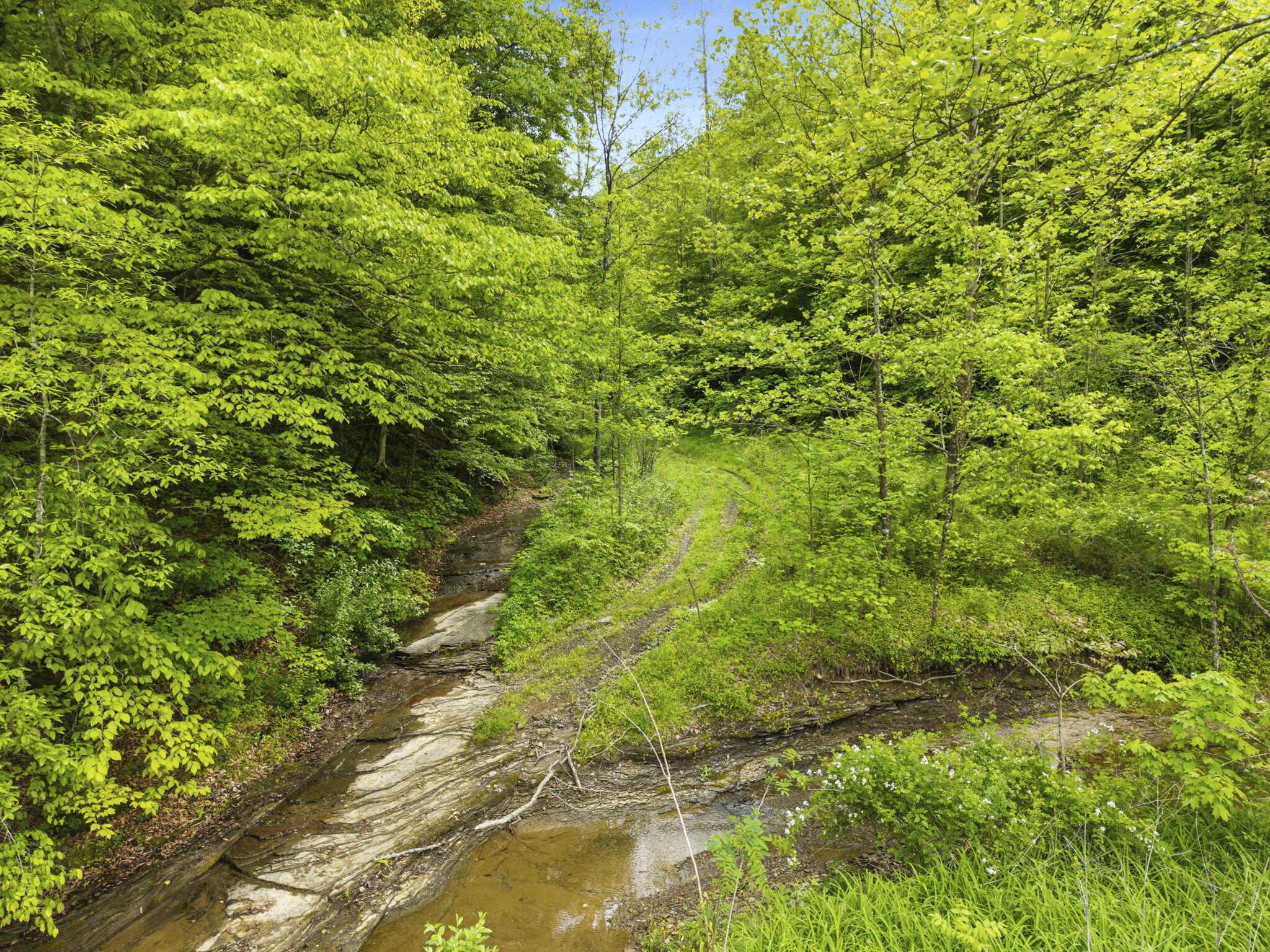 0 Jetts Creek Road Property Photo 25