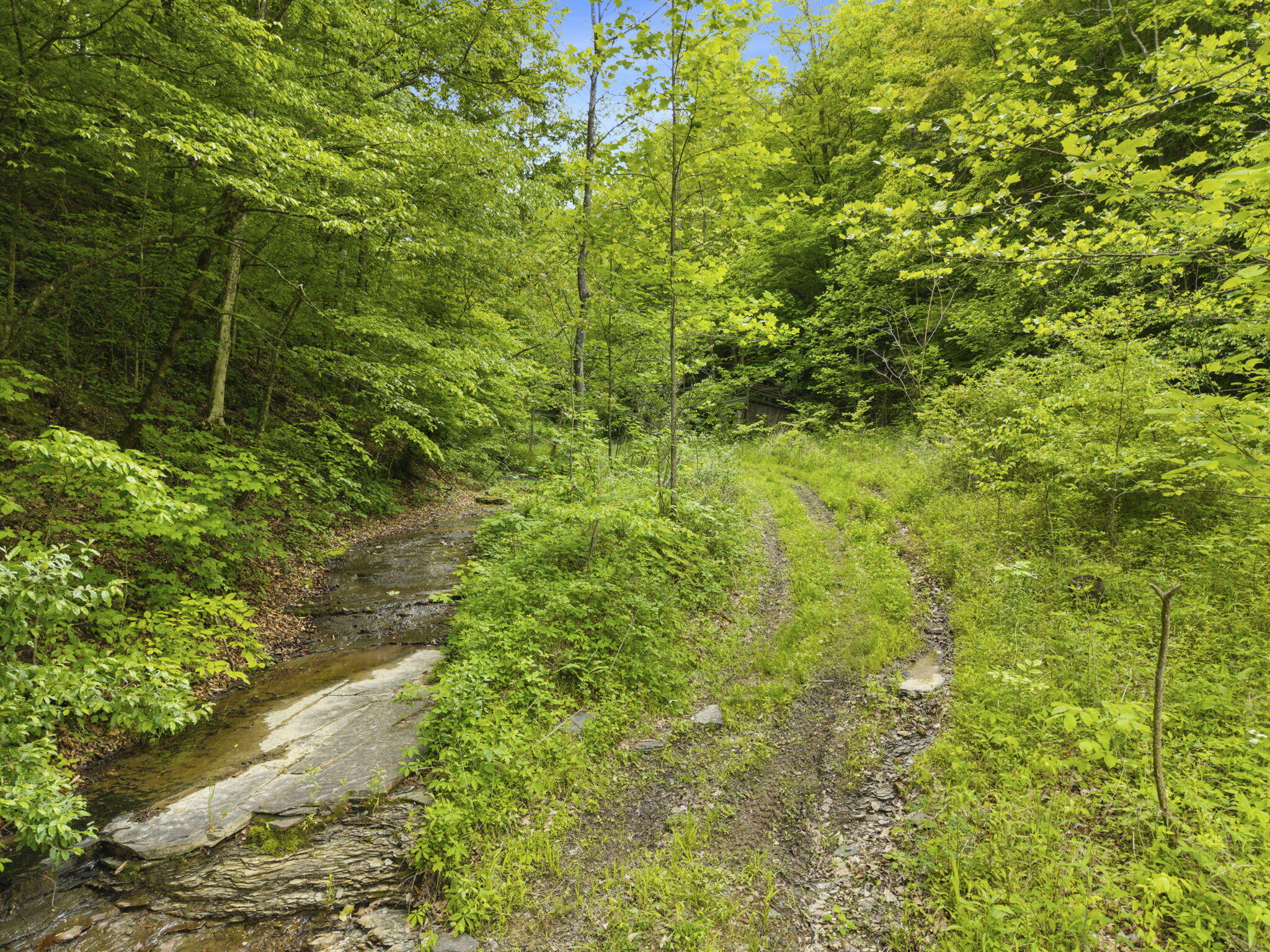 0 Jetts Creek Road Property Photo 26