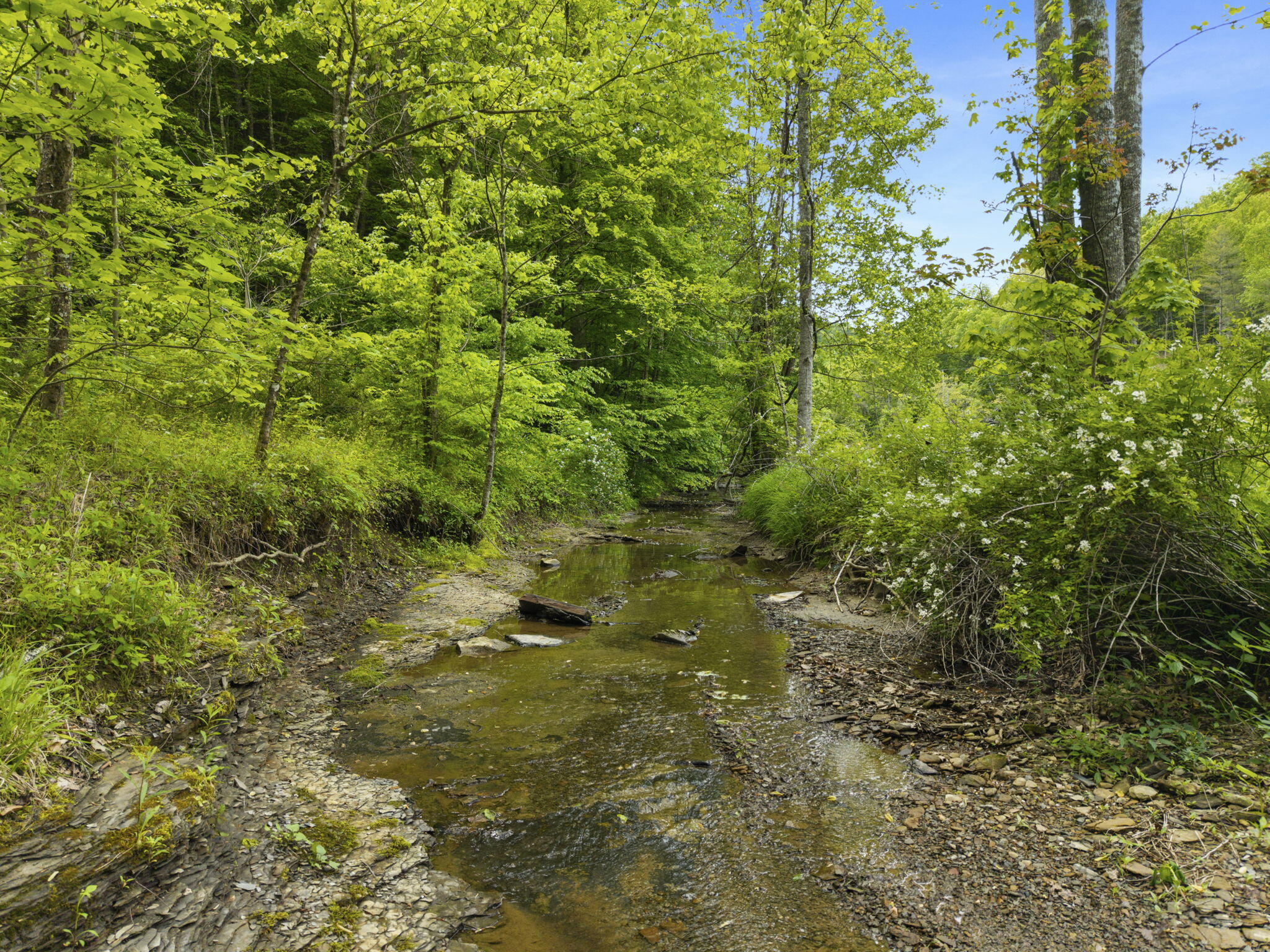 0 Jetts Creek Road Property Photo 27