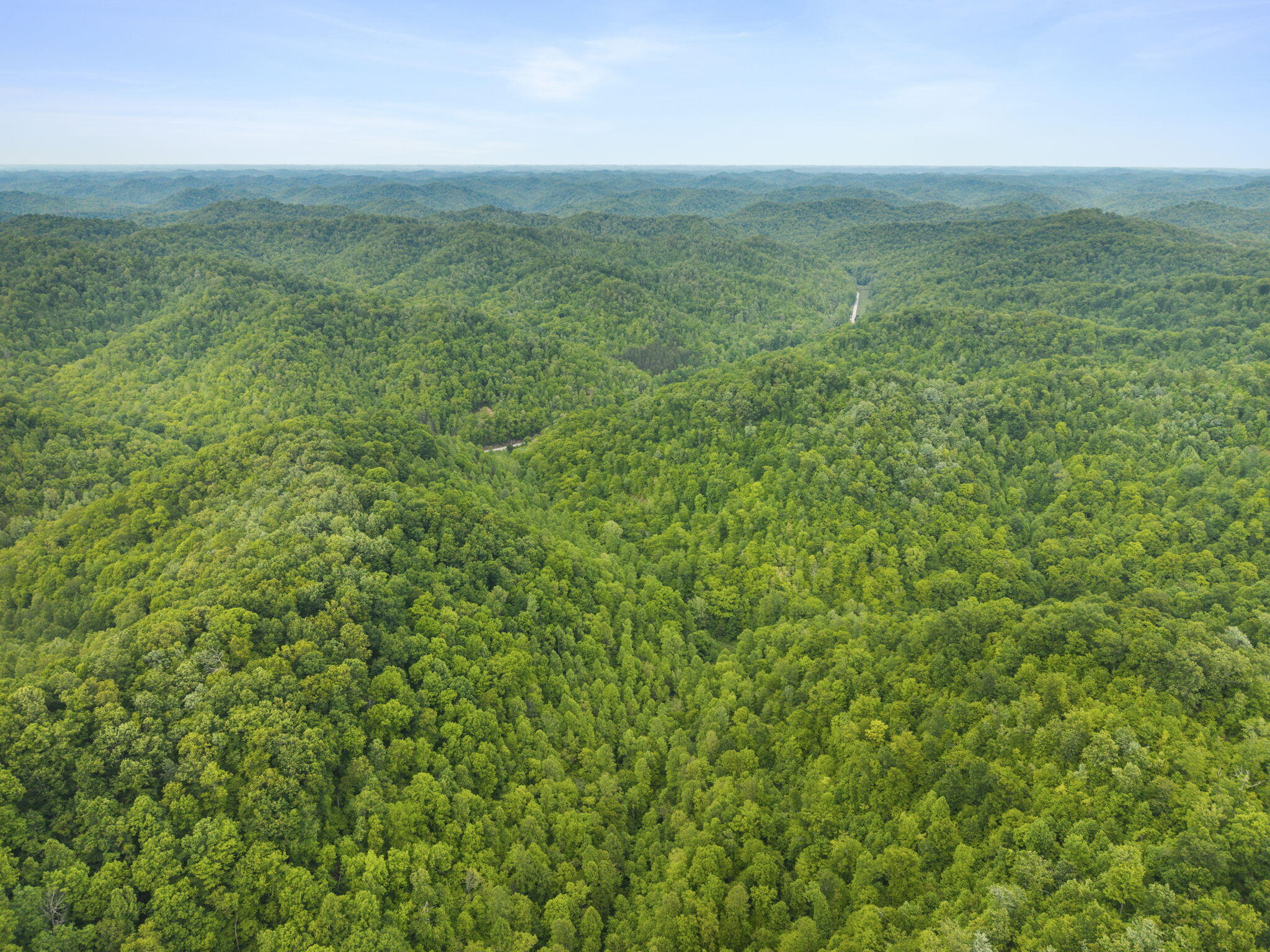 0 Jetts Creek Road Property Photo 29