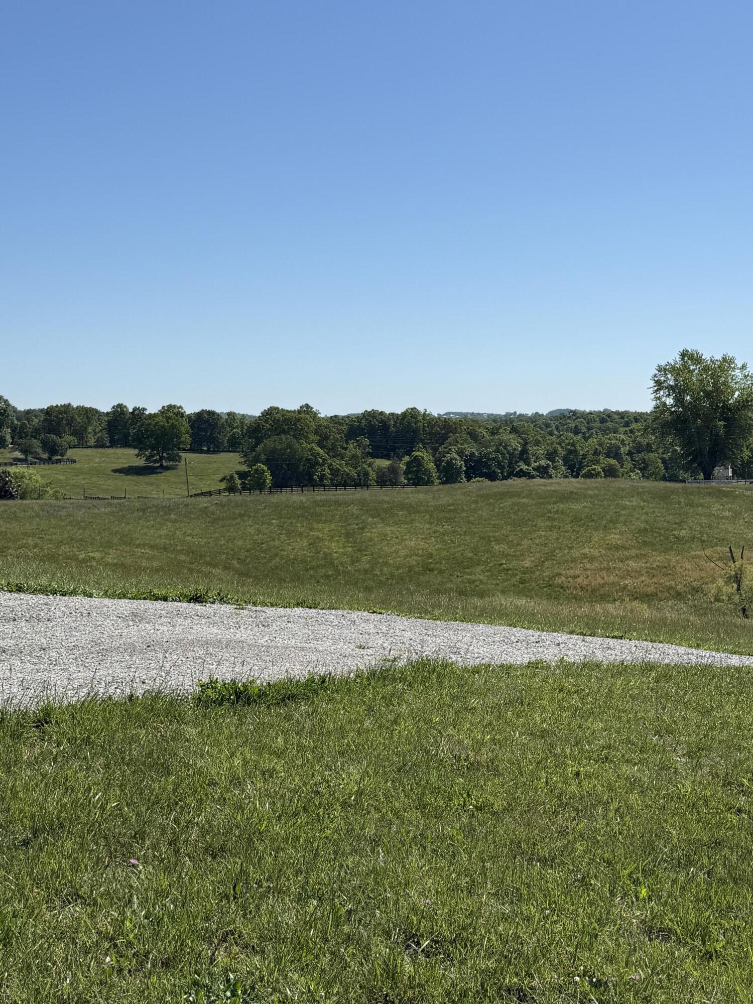 8680 Highway 196 Property Photo 6