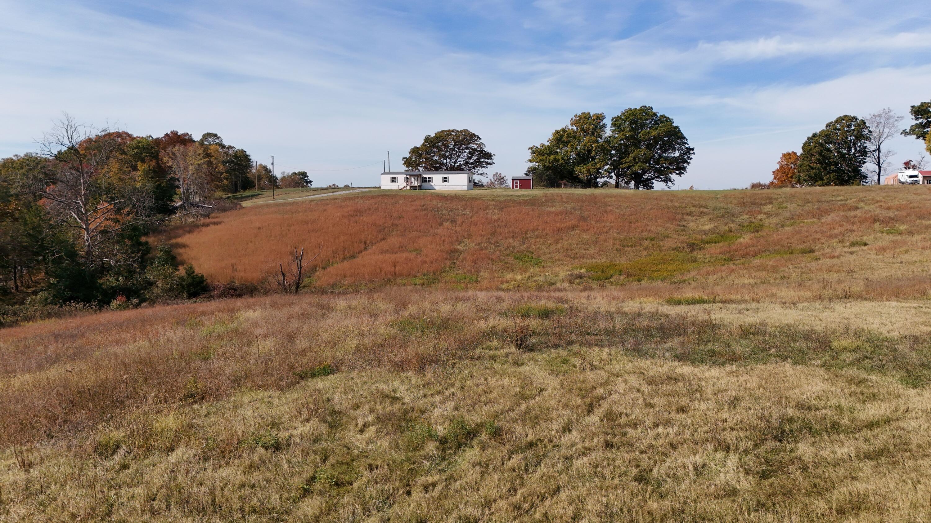 8680 Highway 196 Property Photo 11