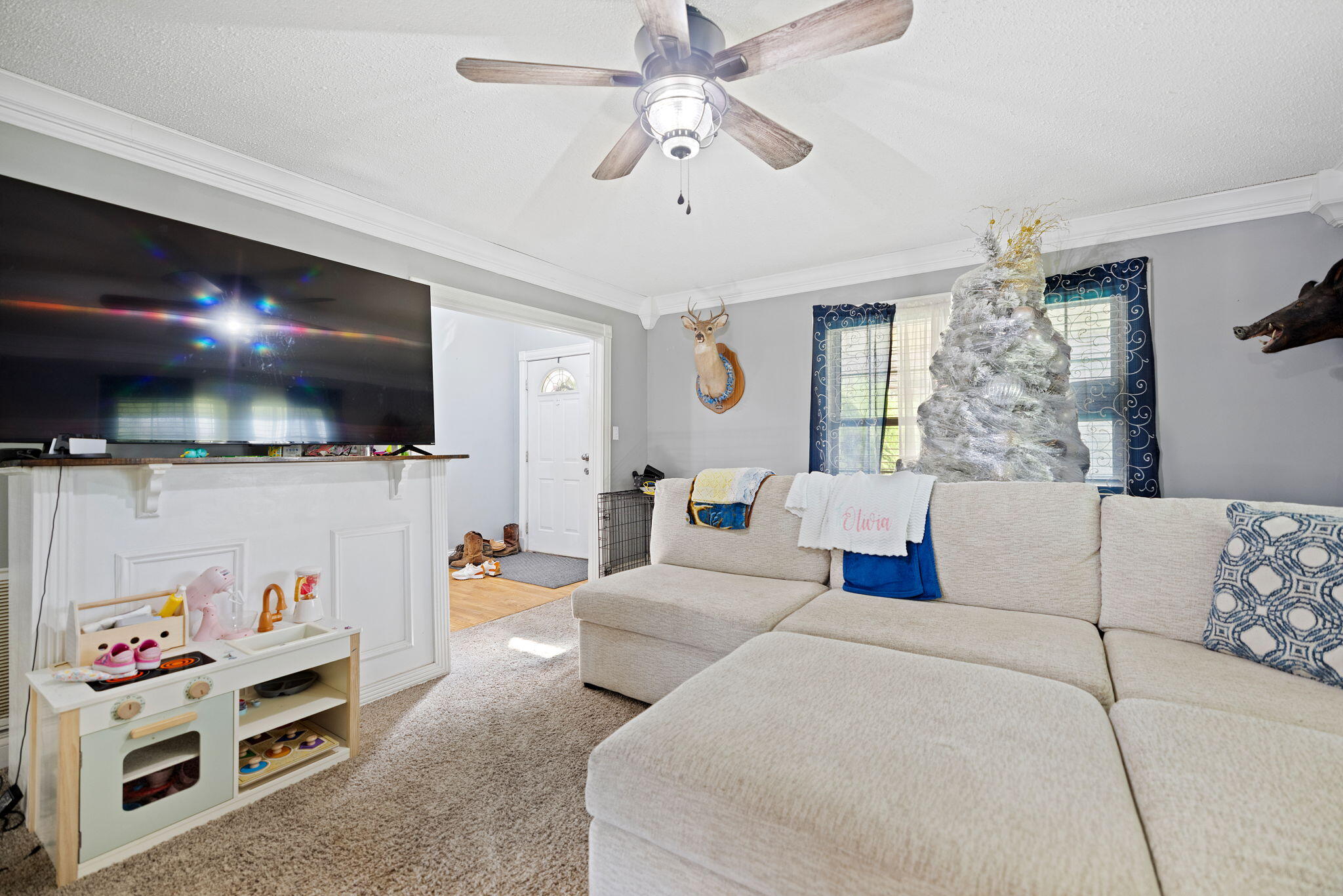 321 Saplin Fork Road Property Photo 4