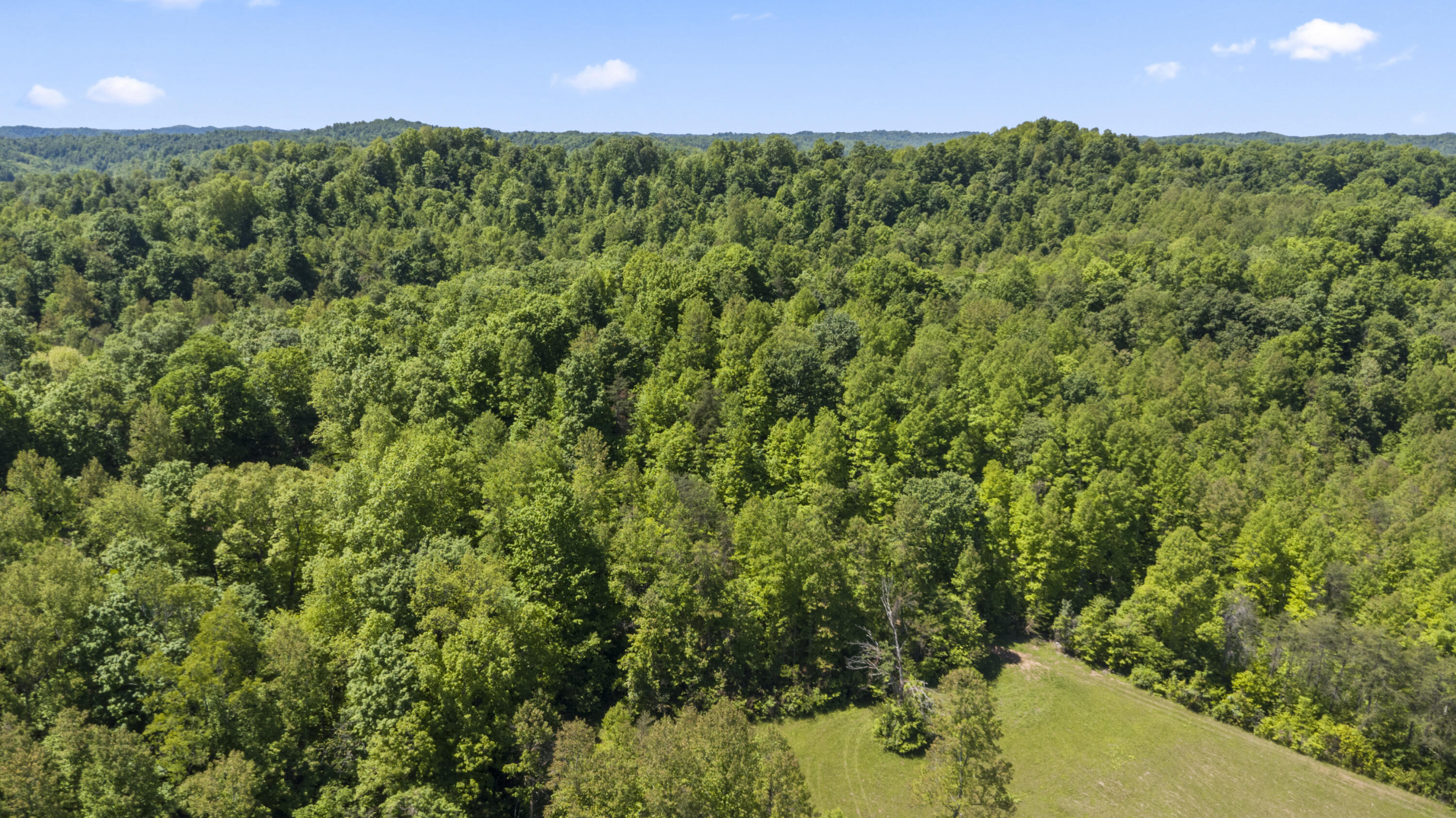 2248 Ky 556 Property Photo 40