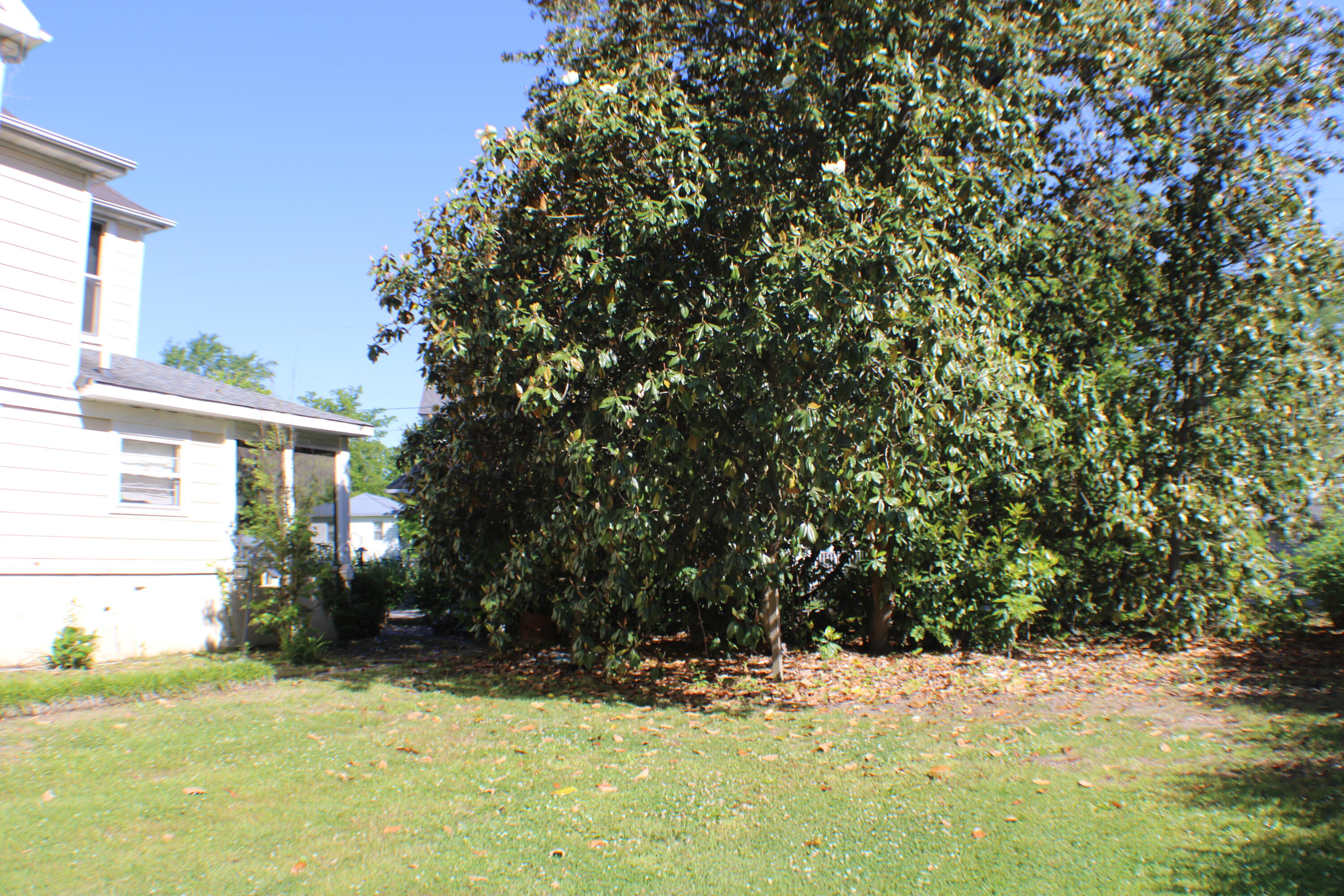 207 Arthur Heights Property Photo 28