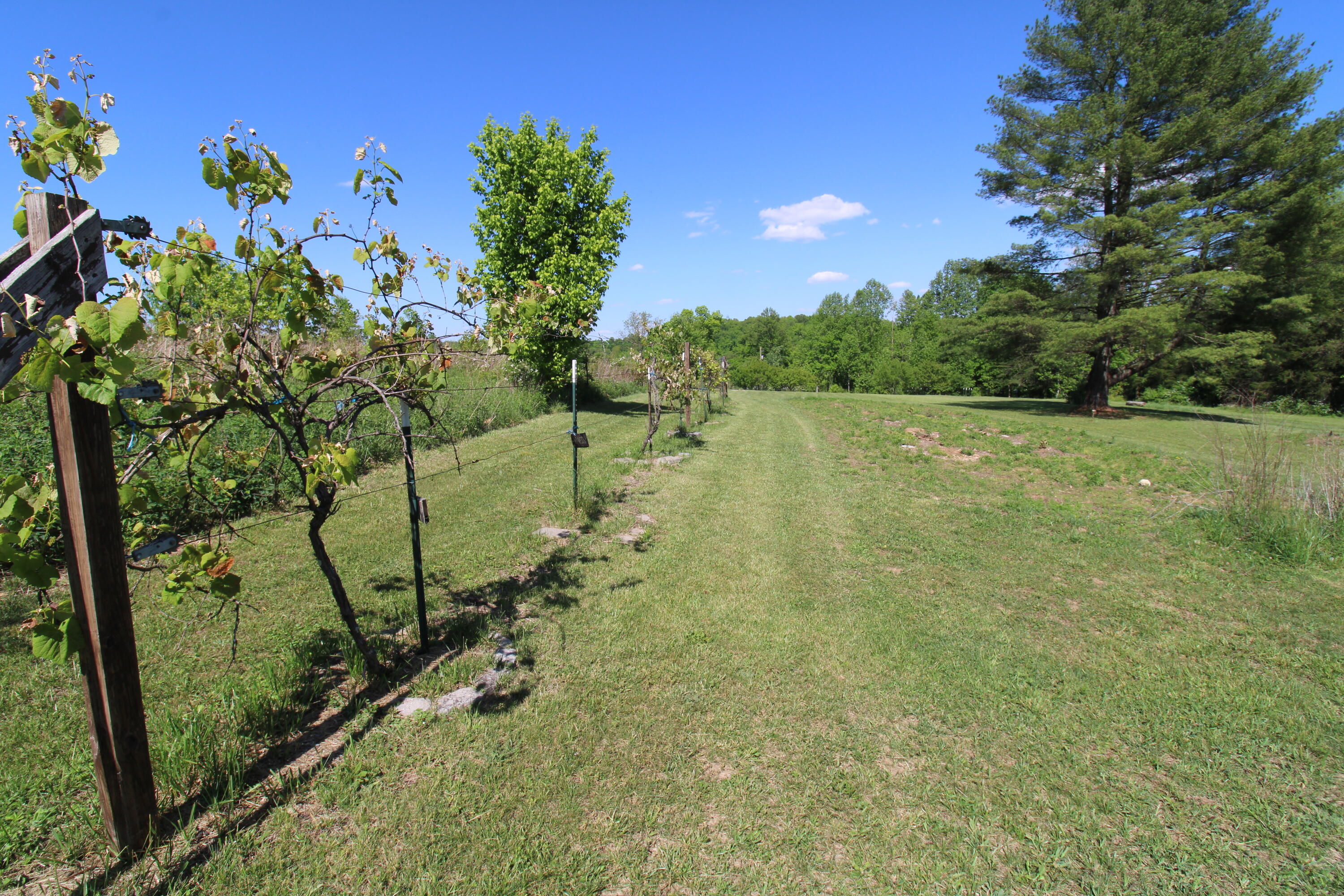 125 Boots Marie Boulevard Property Photo 31