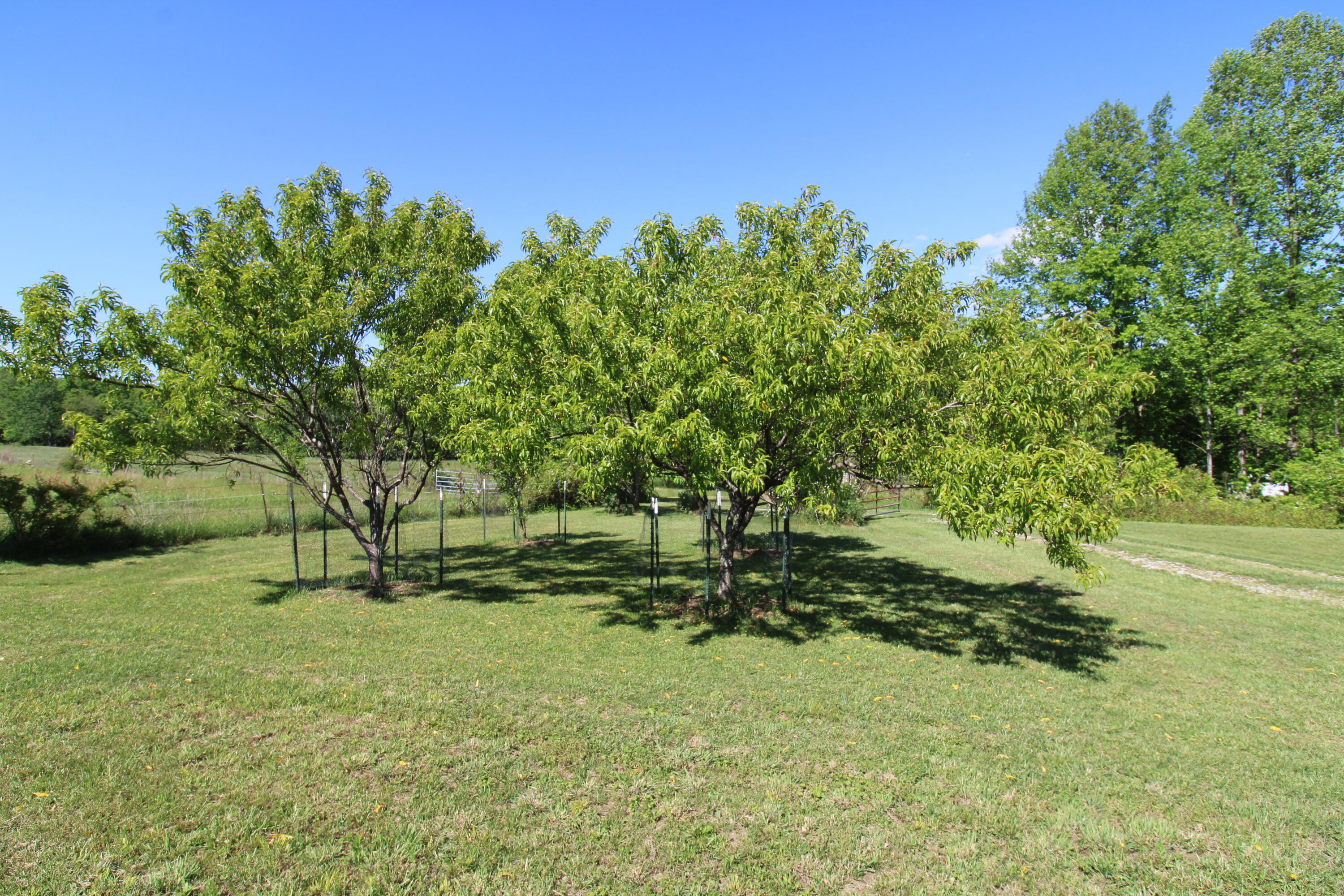 125 Boots Marie Boulevard Property Photo 35