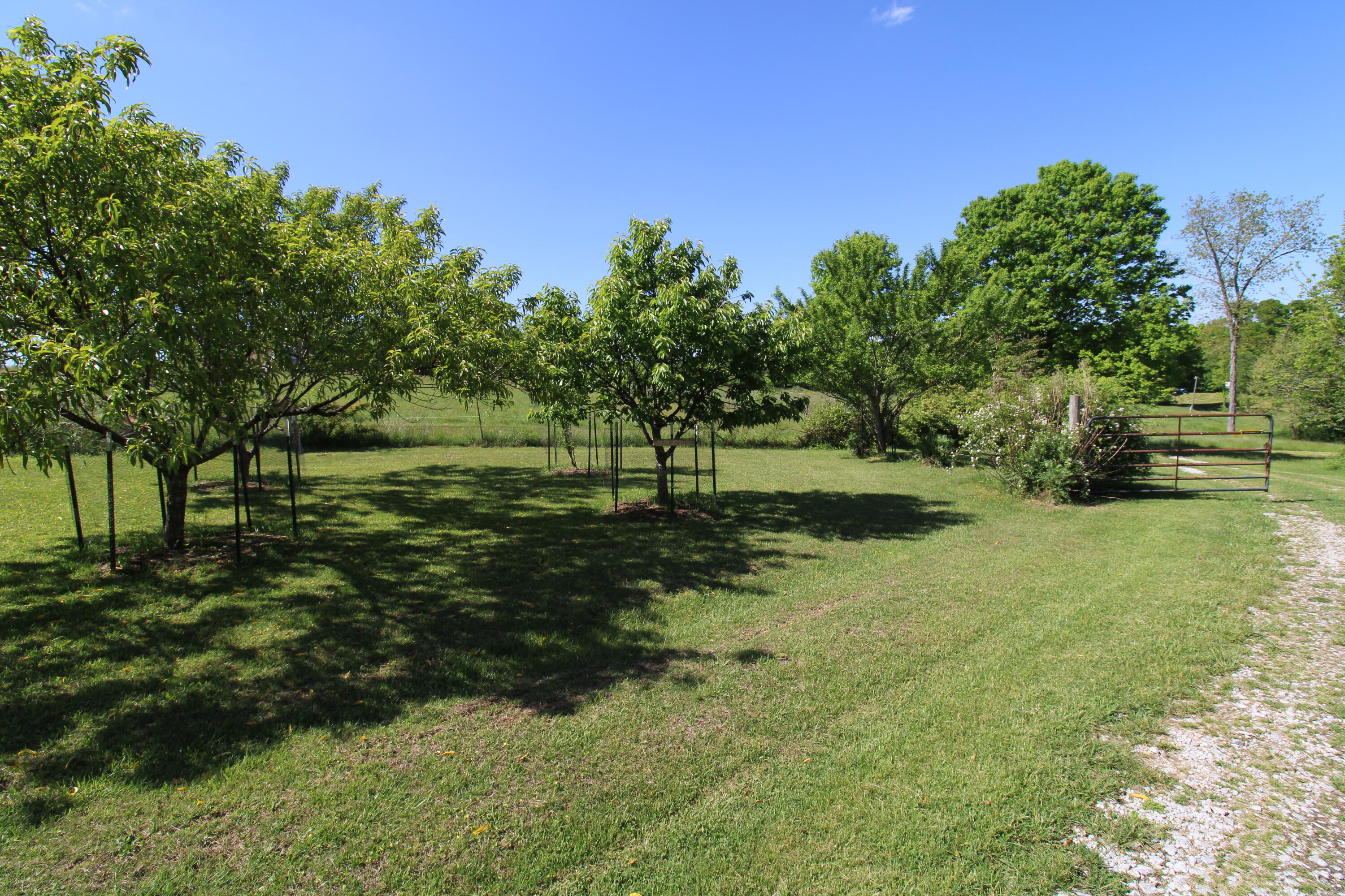 125 Boots Marie Boulevard Property Photo 37