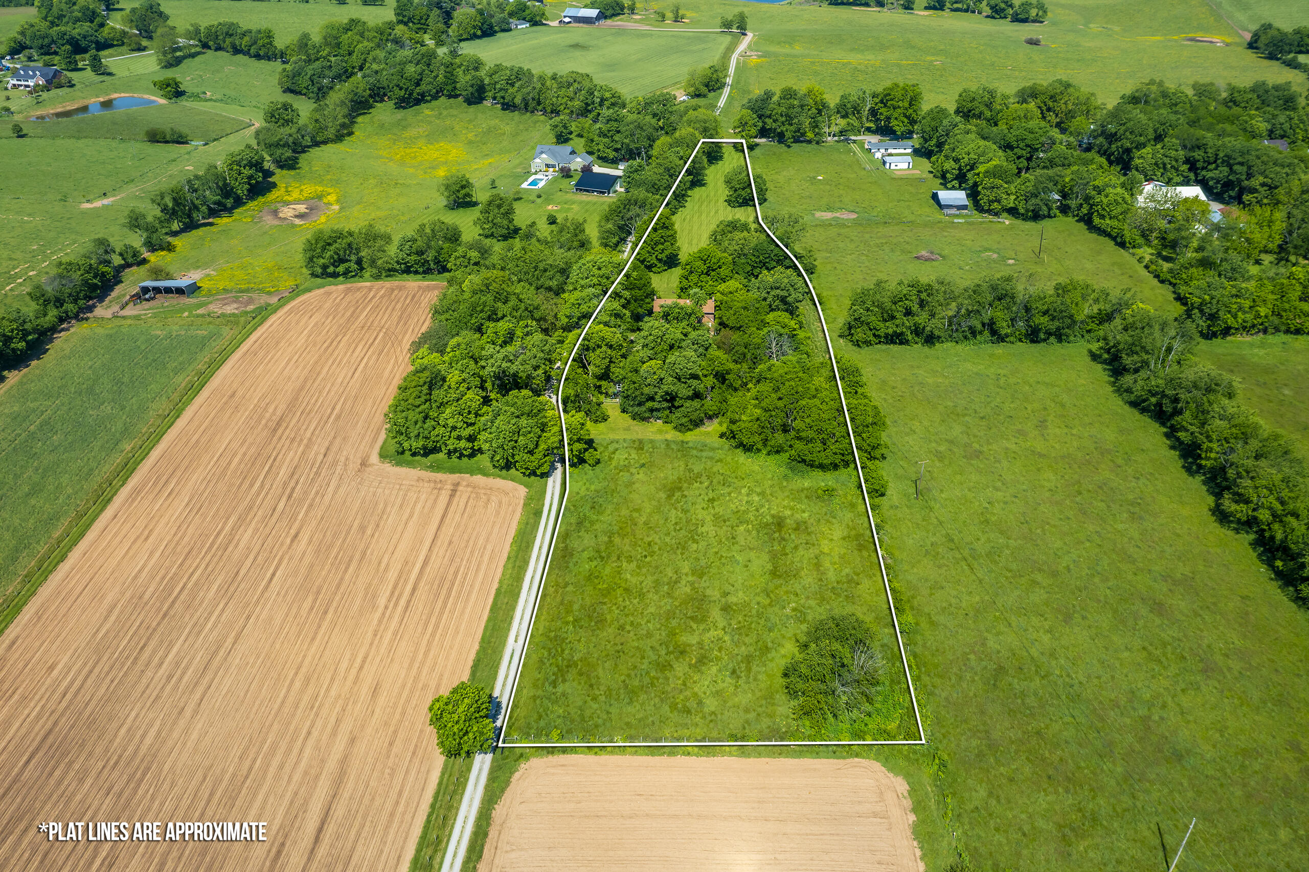 556 Cane Run Road Property Photo 58