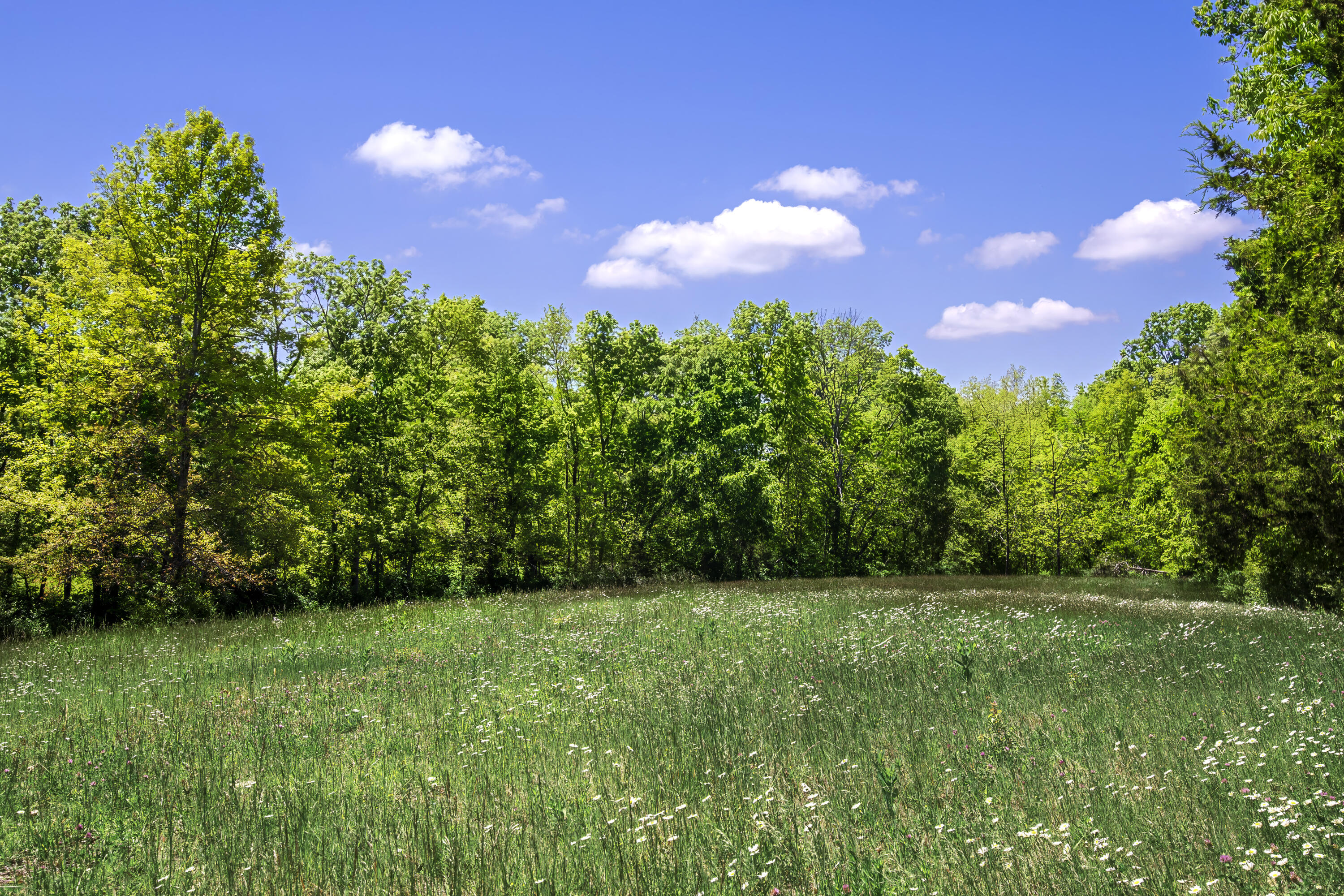 1665 Glensboro Road Property Photo 43