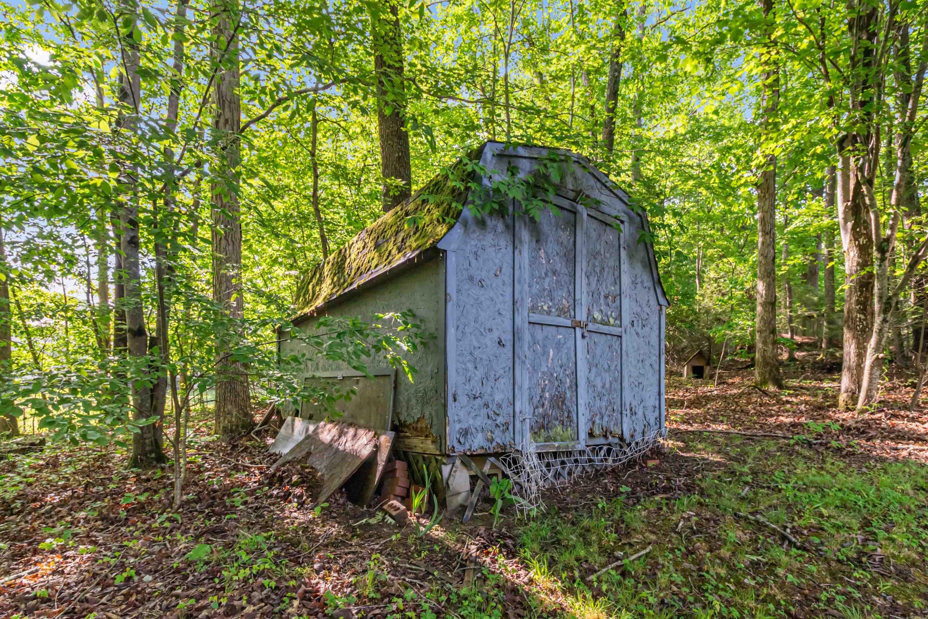 46 Little Current Trail Property Photo 38