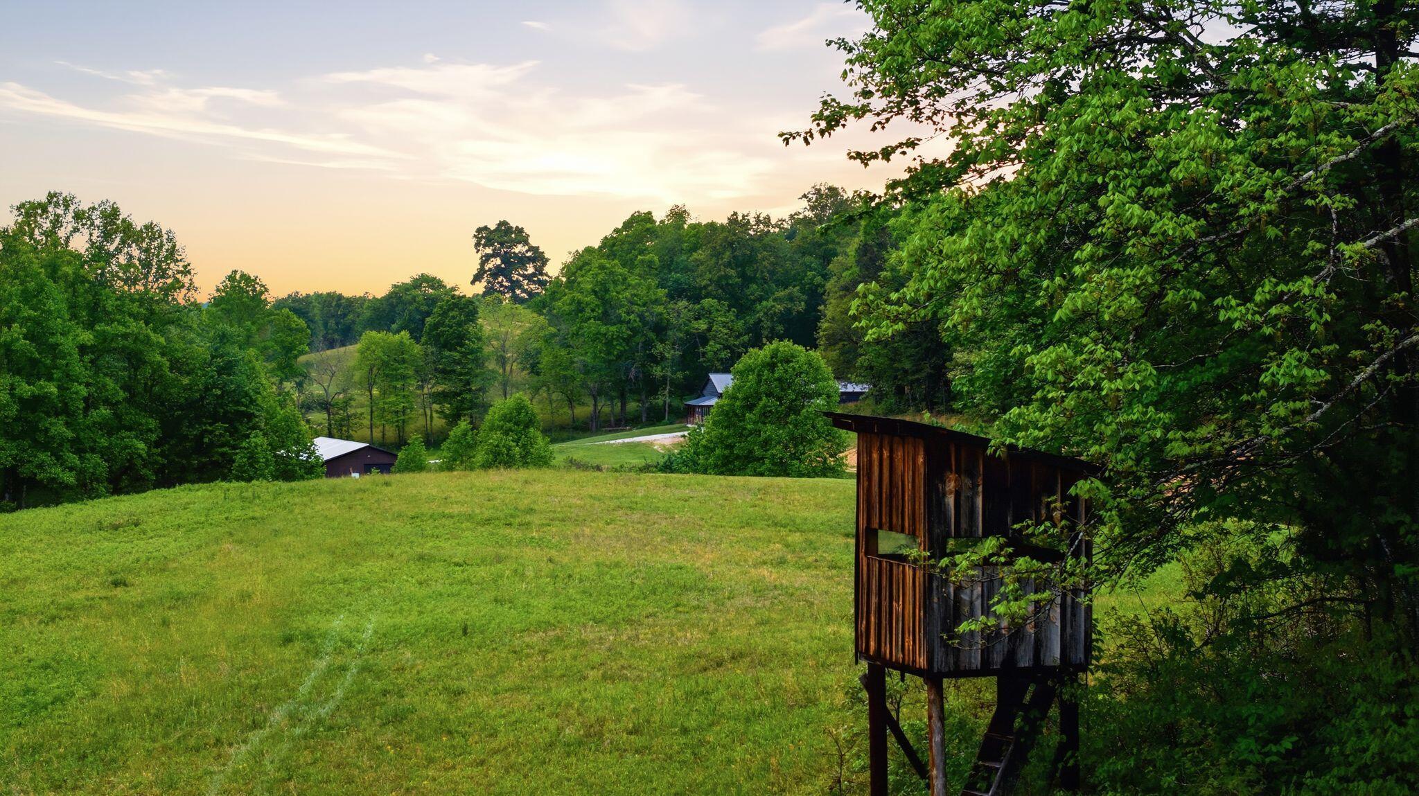 223 Hollin Road Property Photo 45