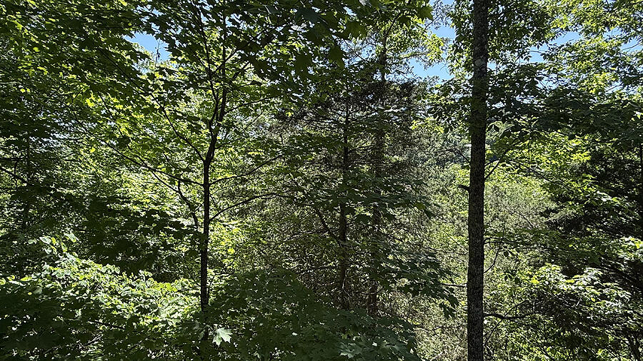 116 Cabin Drive Property Photo 8