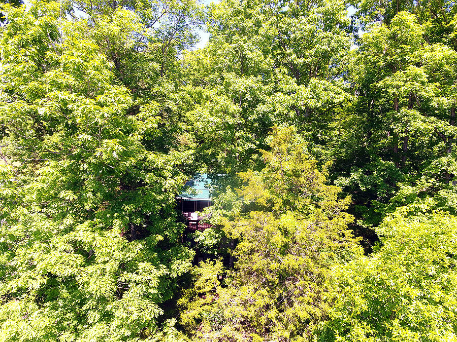 116 Cabin Drive Property Photo 17
