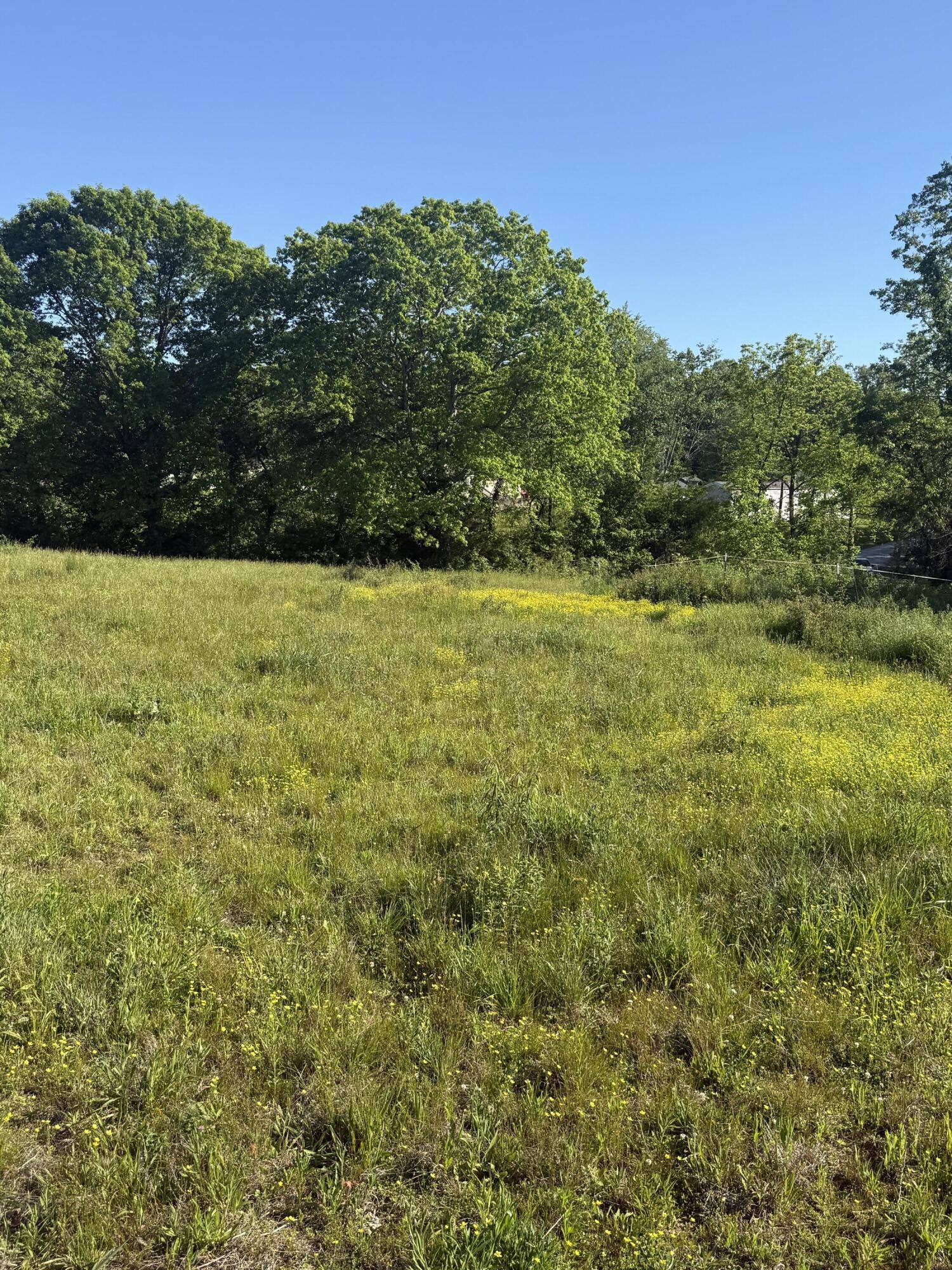 308 Taylor Bridge Road Property Photo 9