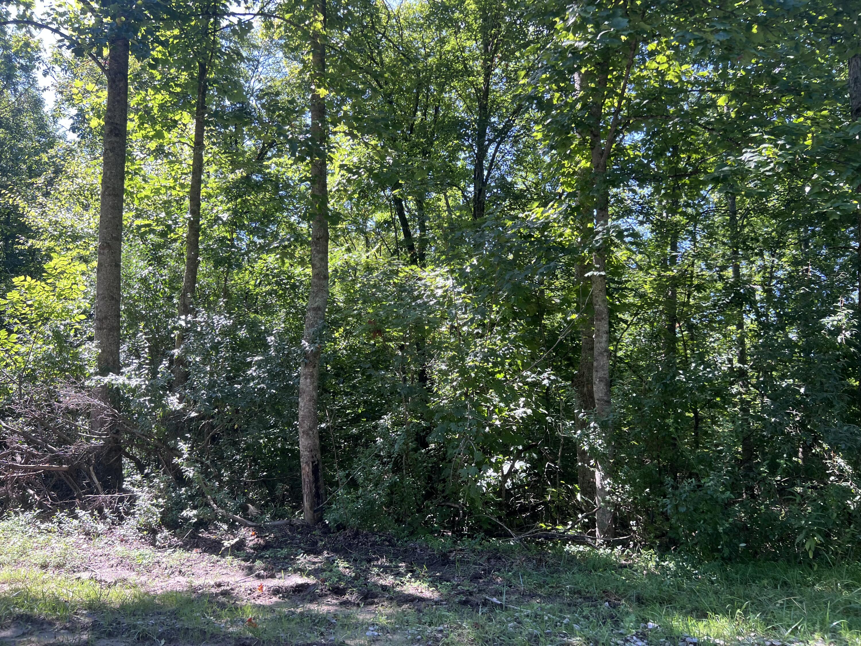 000 Mill Creek Road Property Photo 10