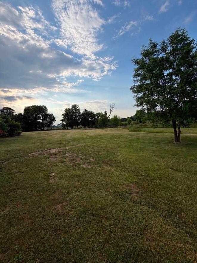 161 Gum Bottom Road Property Photo 20