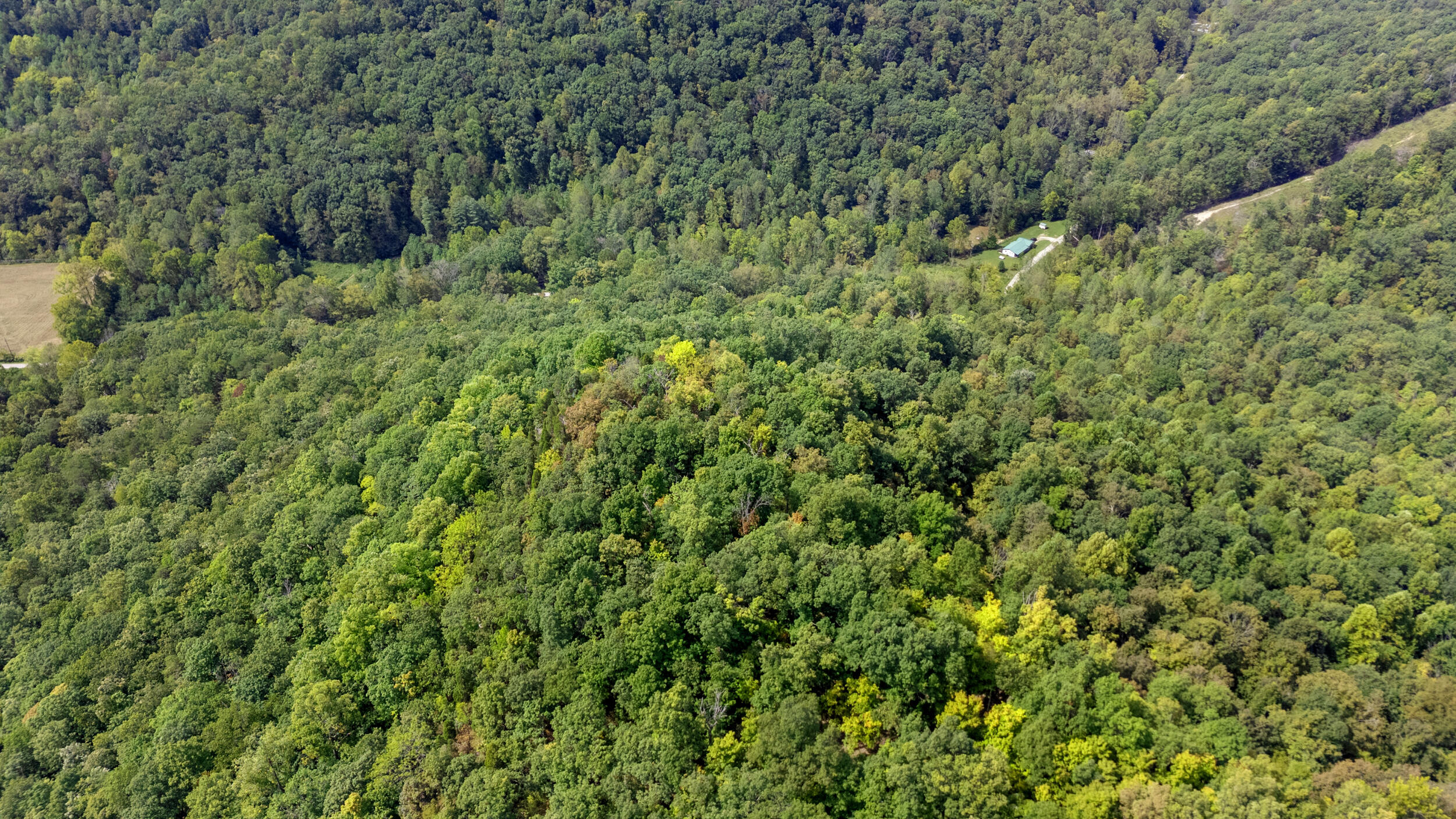 2047 Hatchers Creek Road Property Photo 7