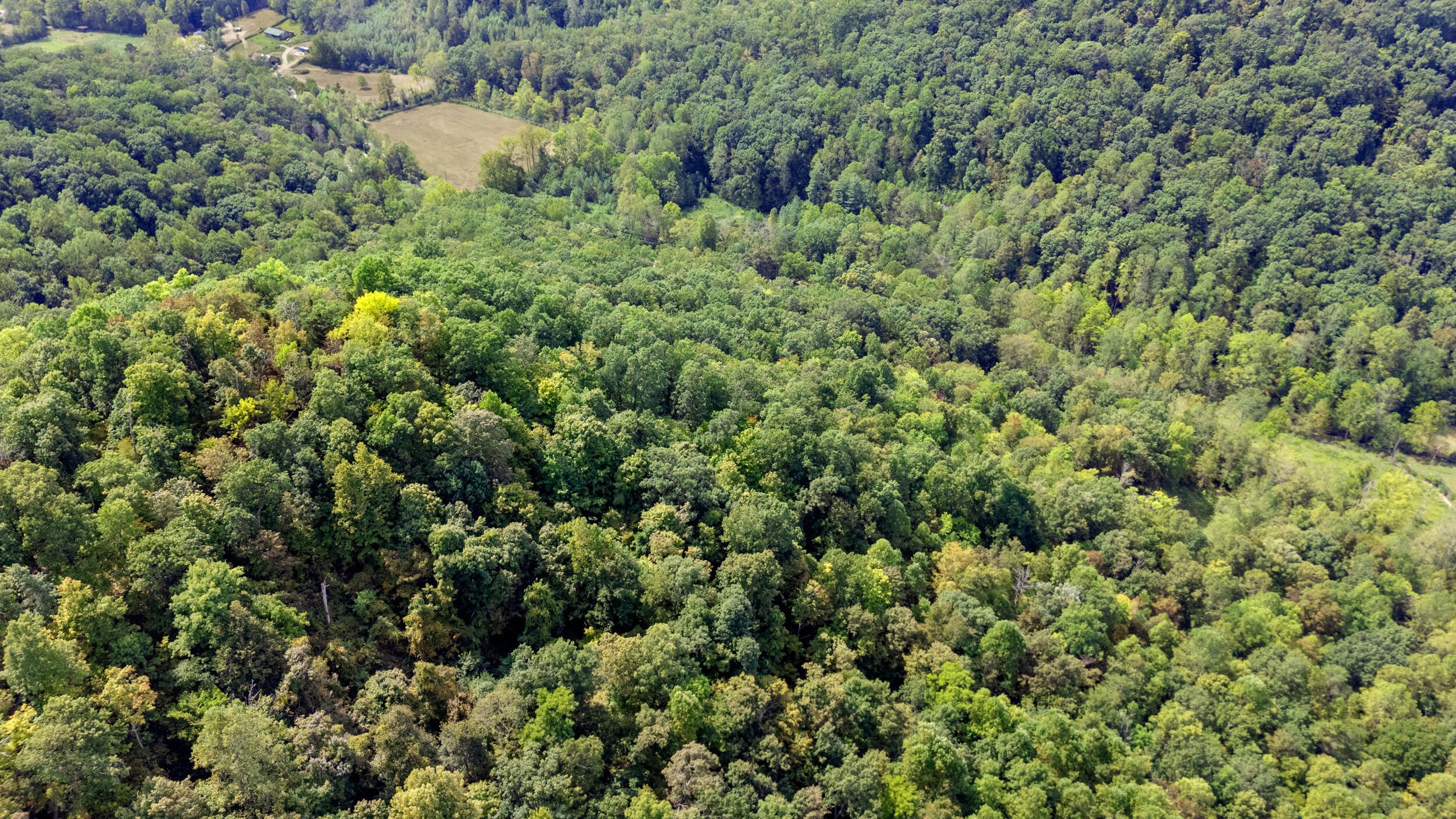 2047 Hatchers Creek Road Property Photo 8