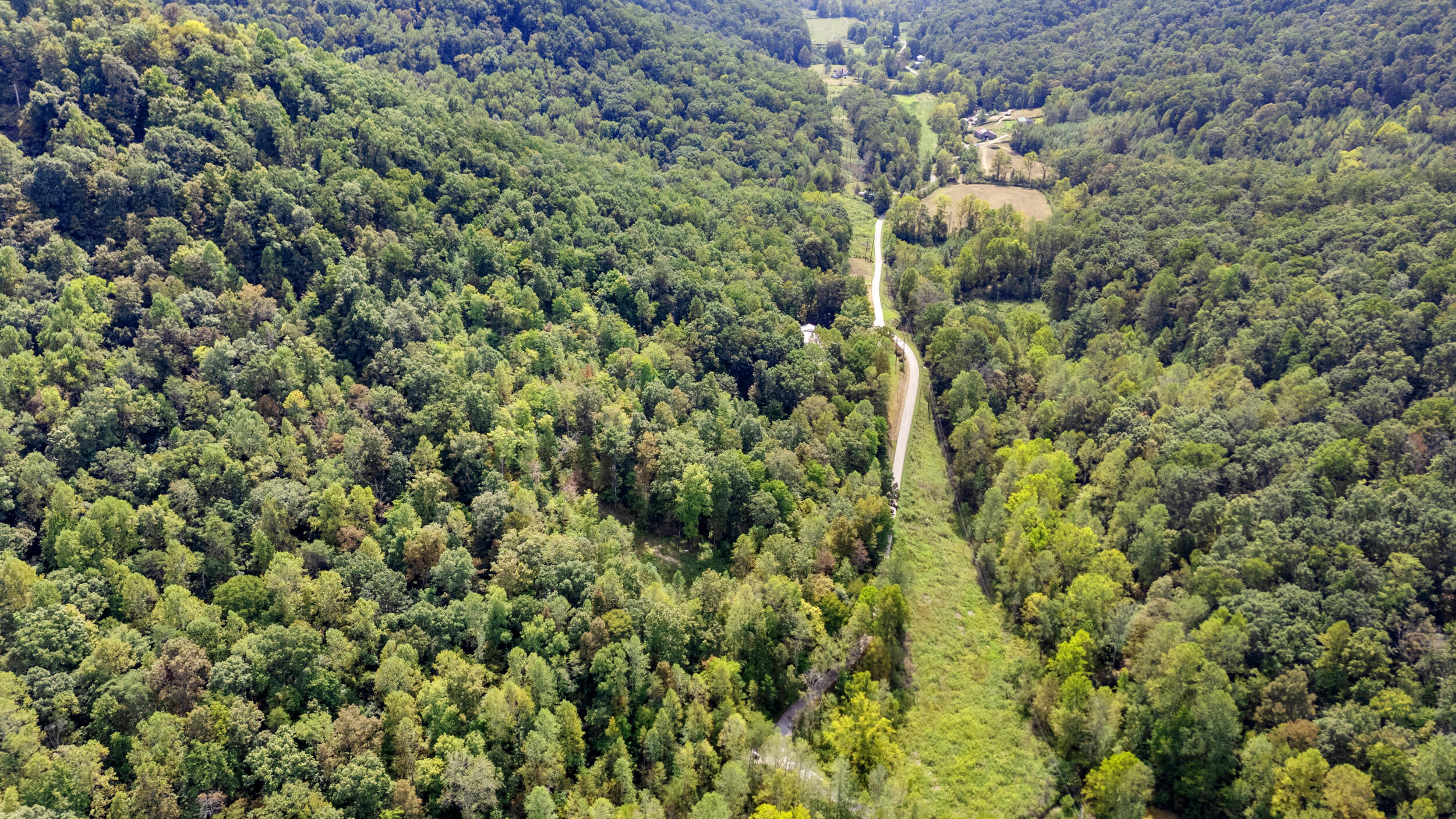 2047 Hatchers Creek Road Property Photo 10