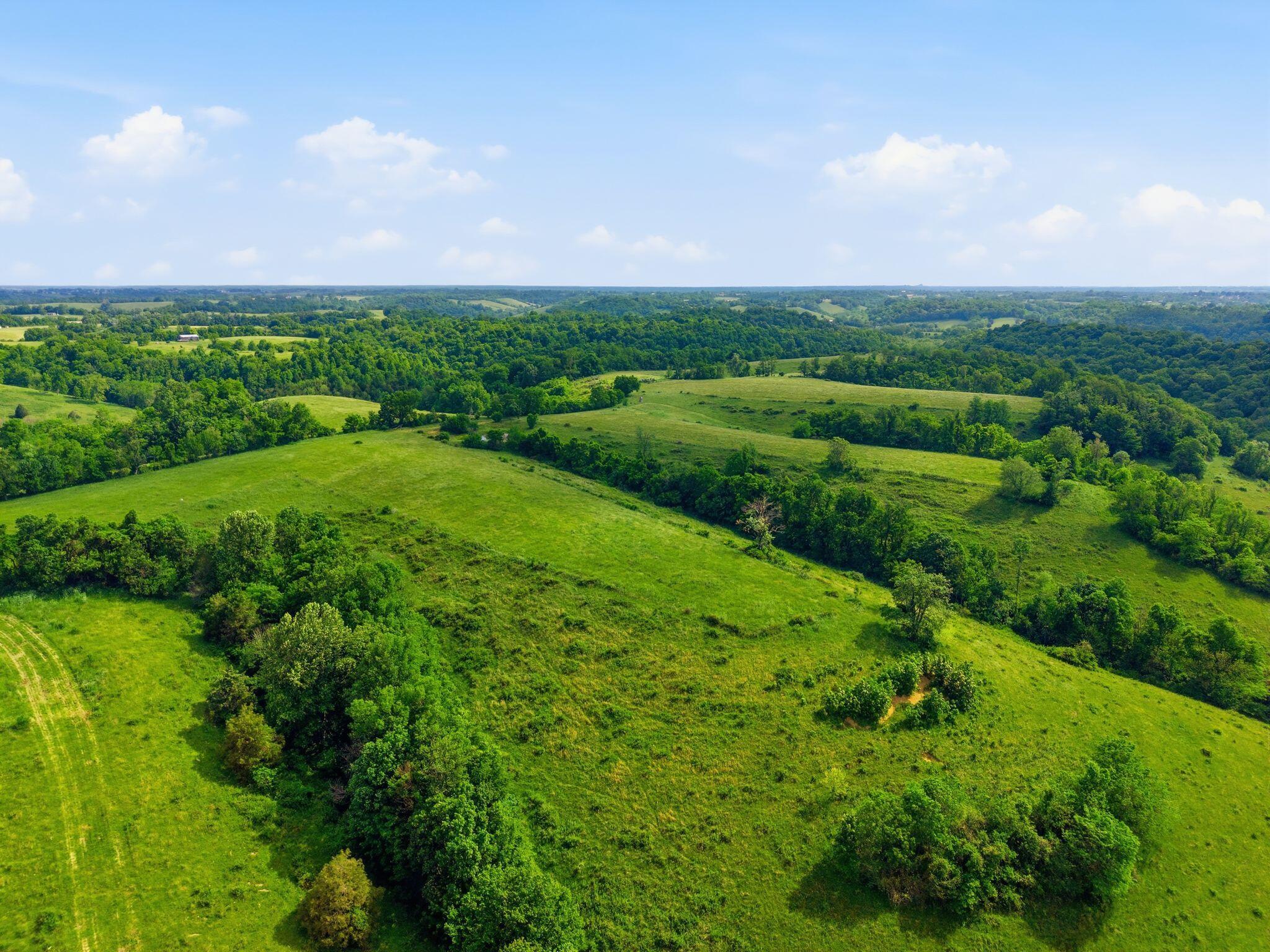 1102 Nina Ridge Road Property Photo 6