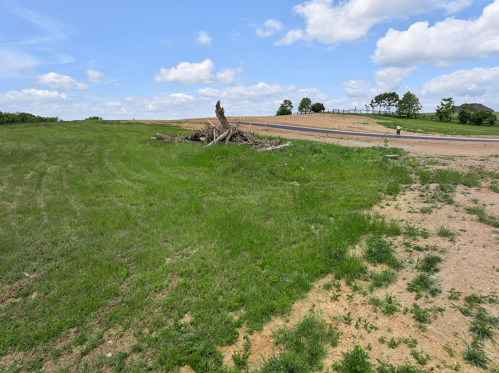 Lot 11 Presidential Boulevard Property Photo 12