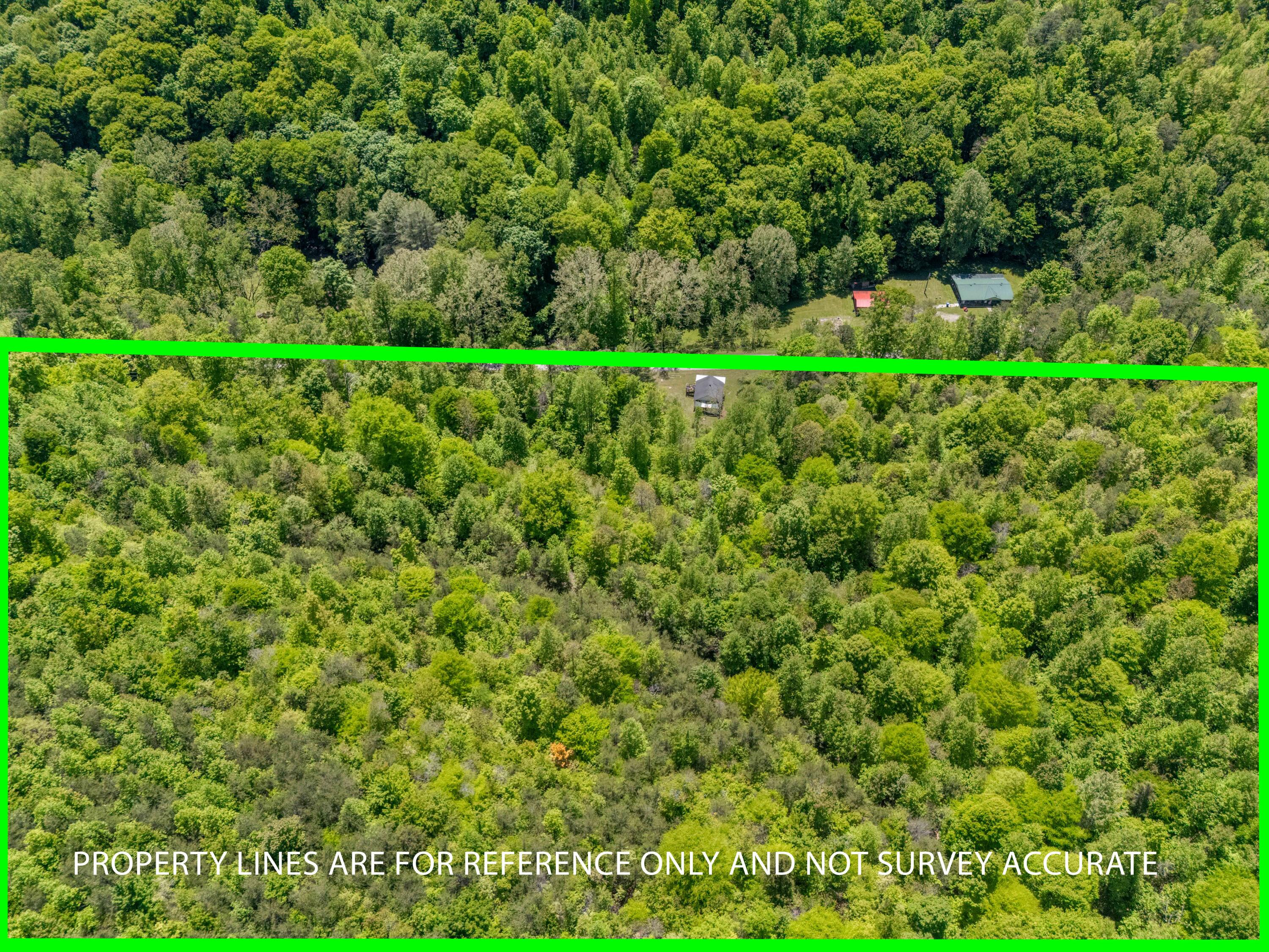 999 Sandy Gap Road Property Photo 6