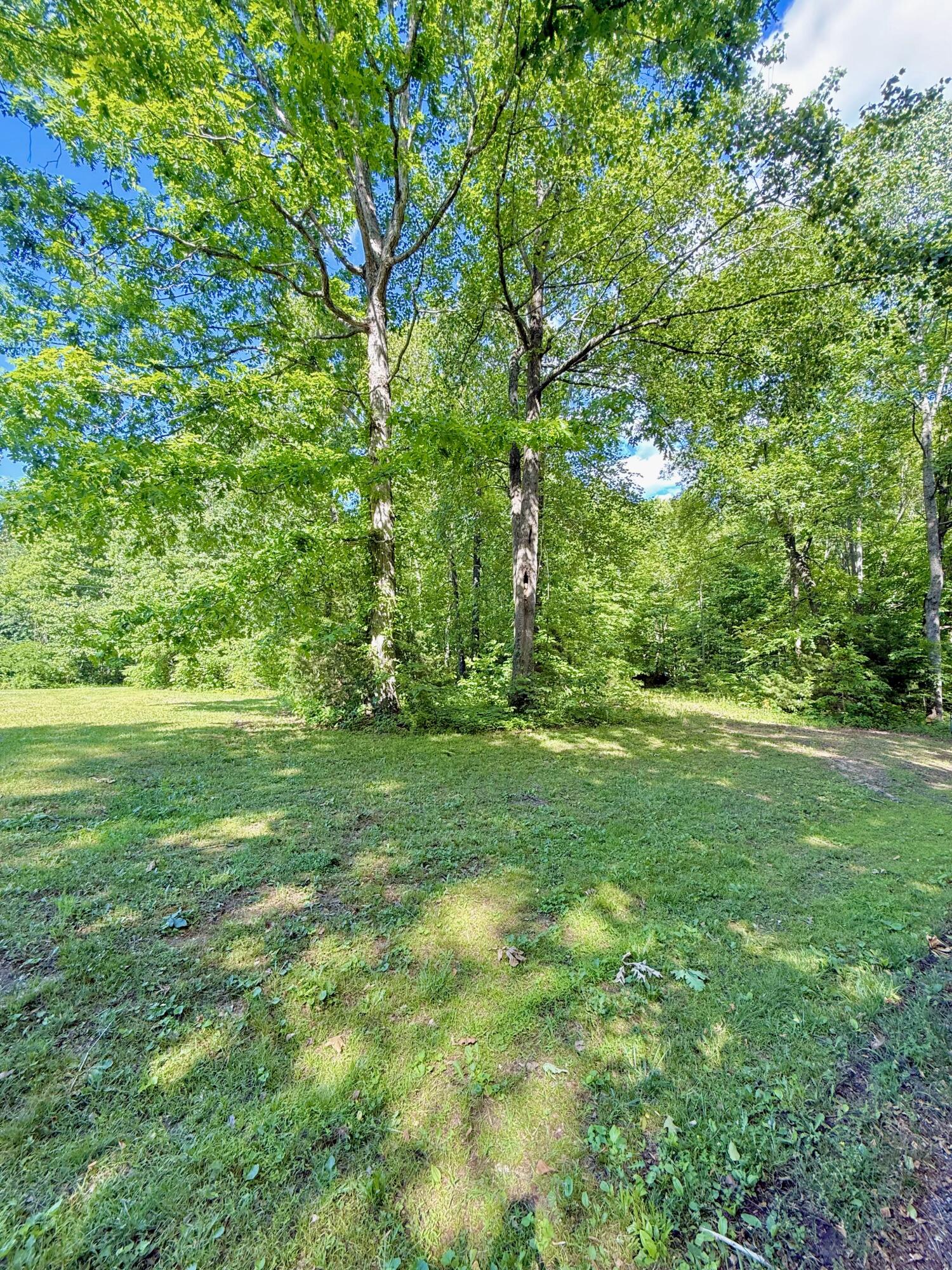 0 Ewing Ridge Road Property Photo 5