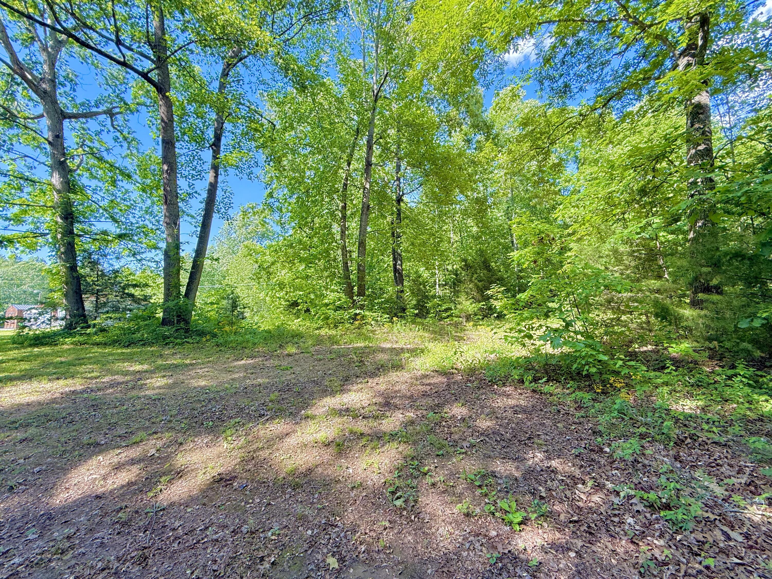 0 Ewing Ridge Road Property Photo 6