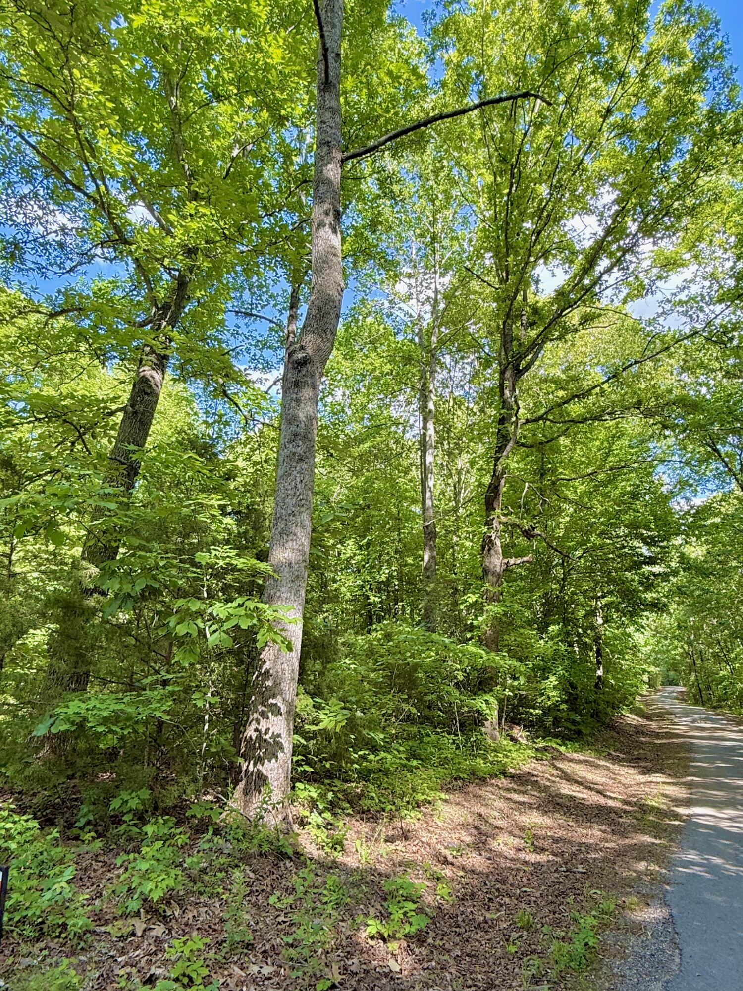 0 Ewing Ridge Road Property Photo 8