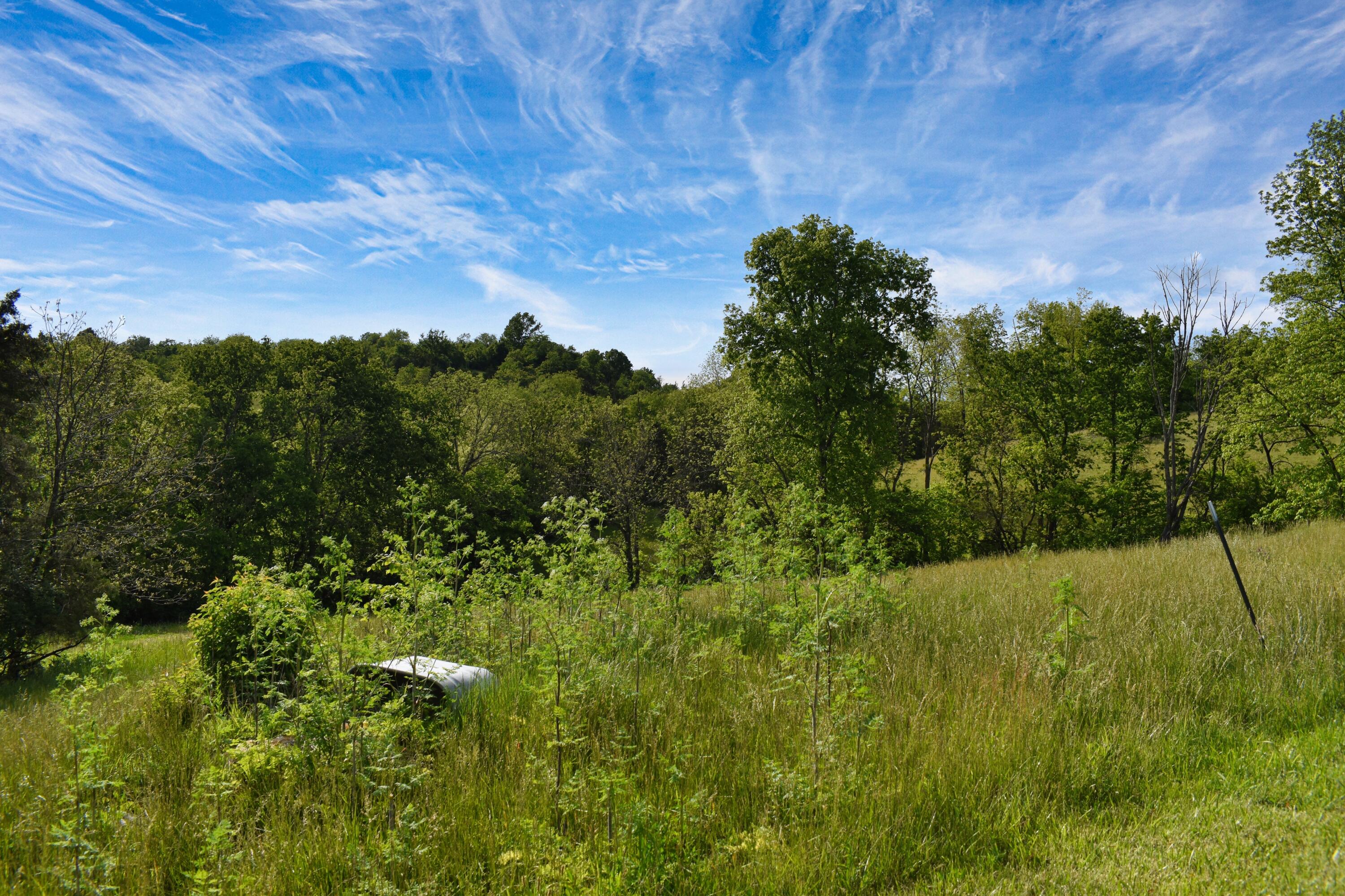 287 Logan Lick Road Property Photo 16