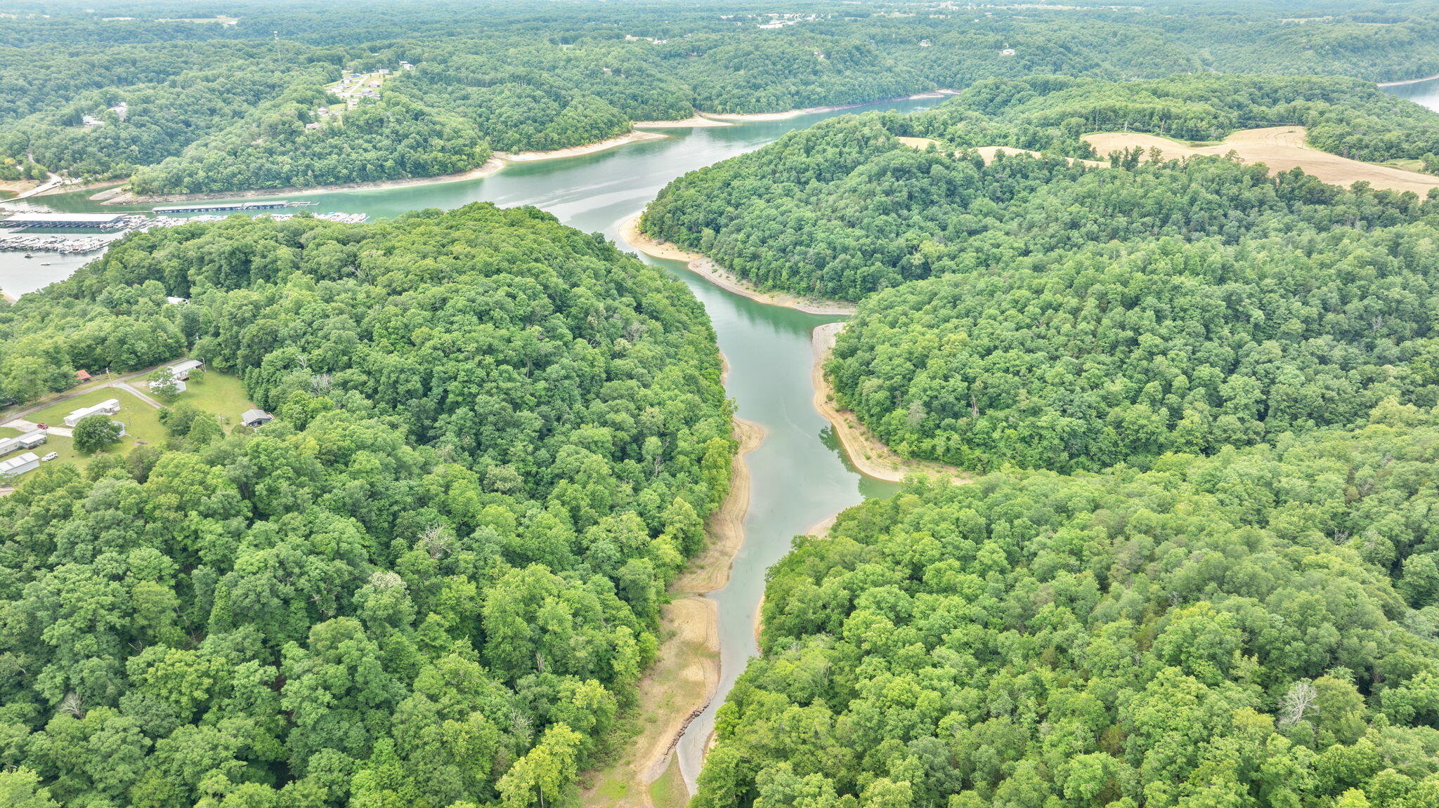 23.5ac Beech Grove Road Property Photo 3