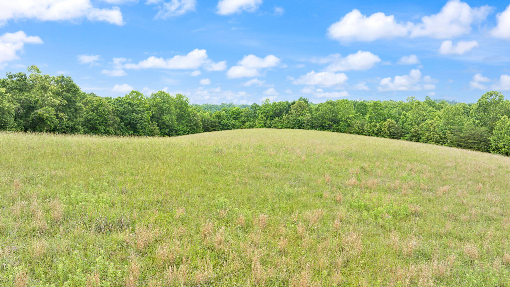 23.5ac Beech Grove Road Property Photo 29