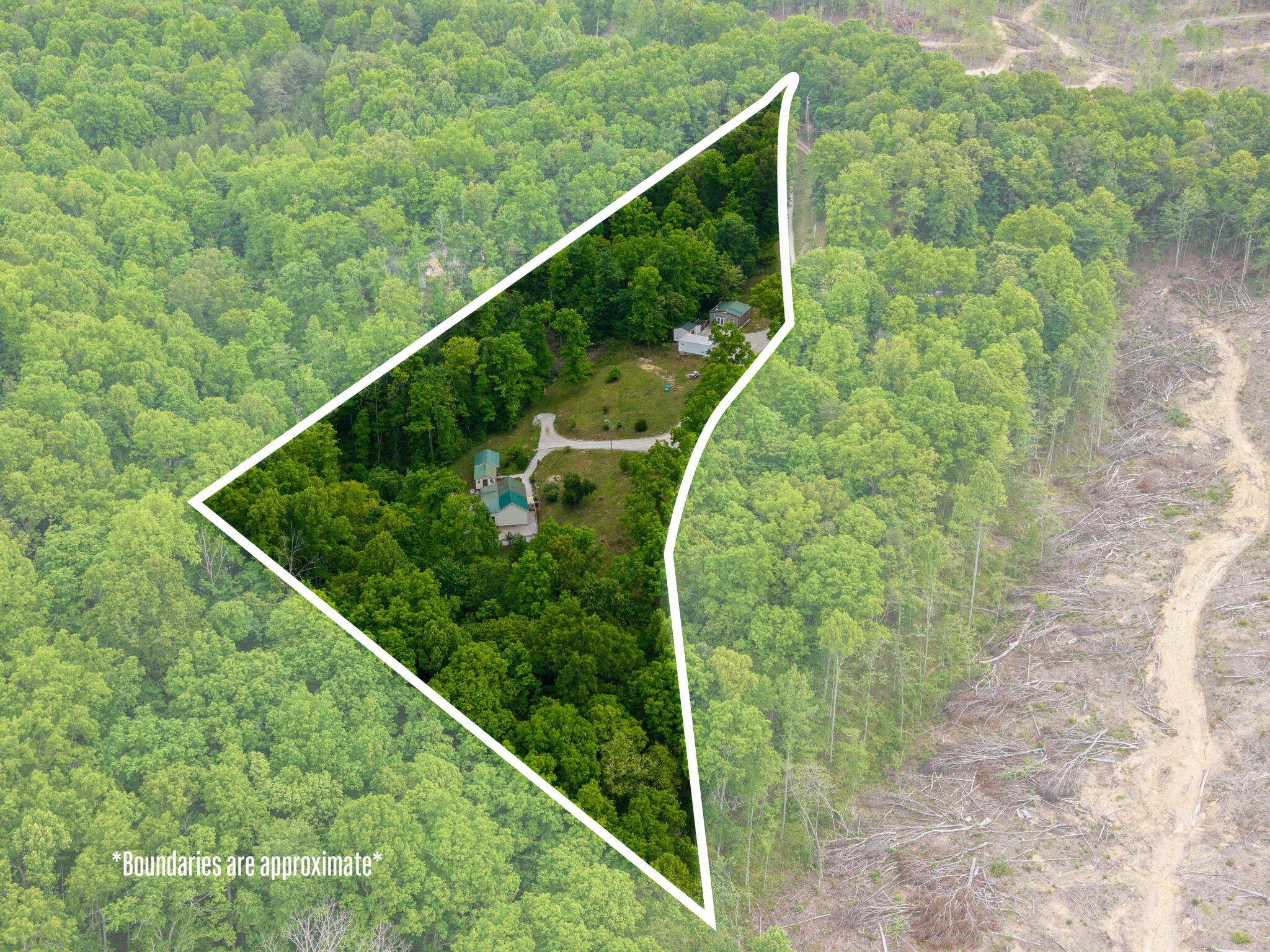 2585 Hazel Patch Road Property Photo 4