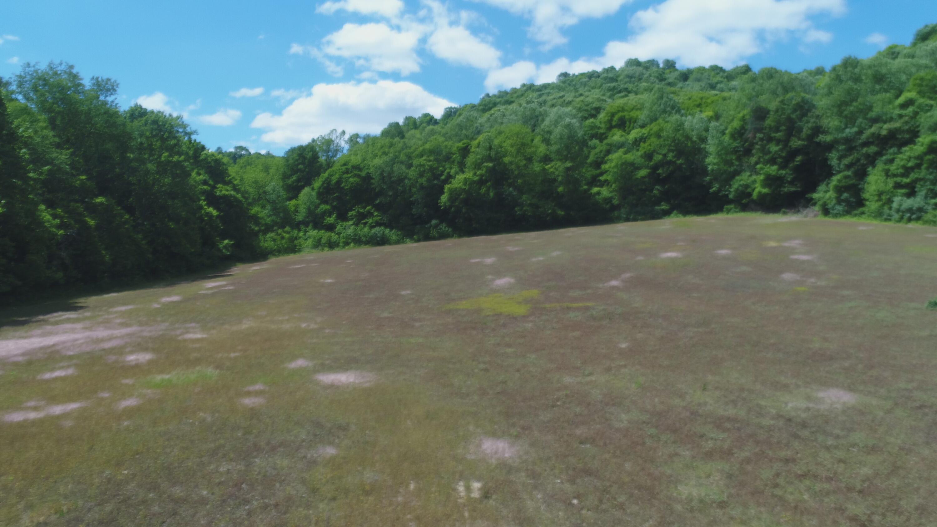 4570 Pointer Creek Road Property Photo 3