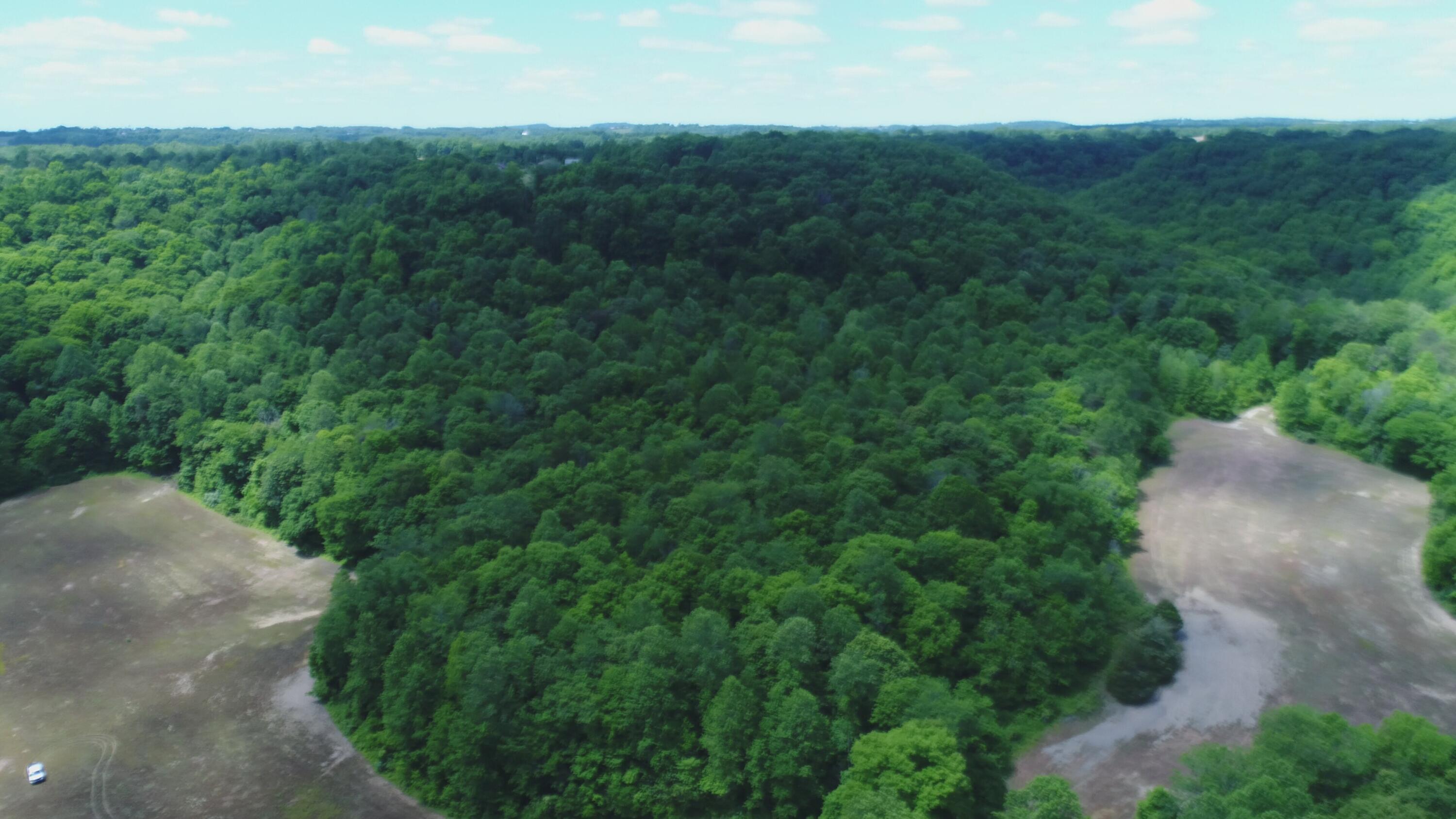 4570 Pointer Creek Road Property Photo 14