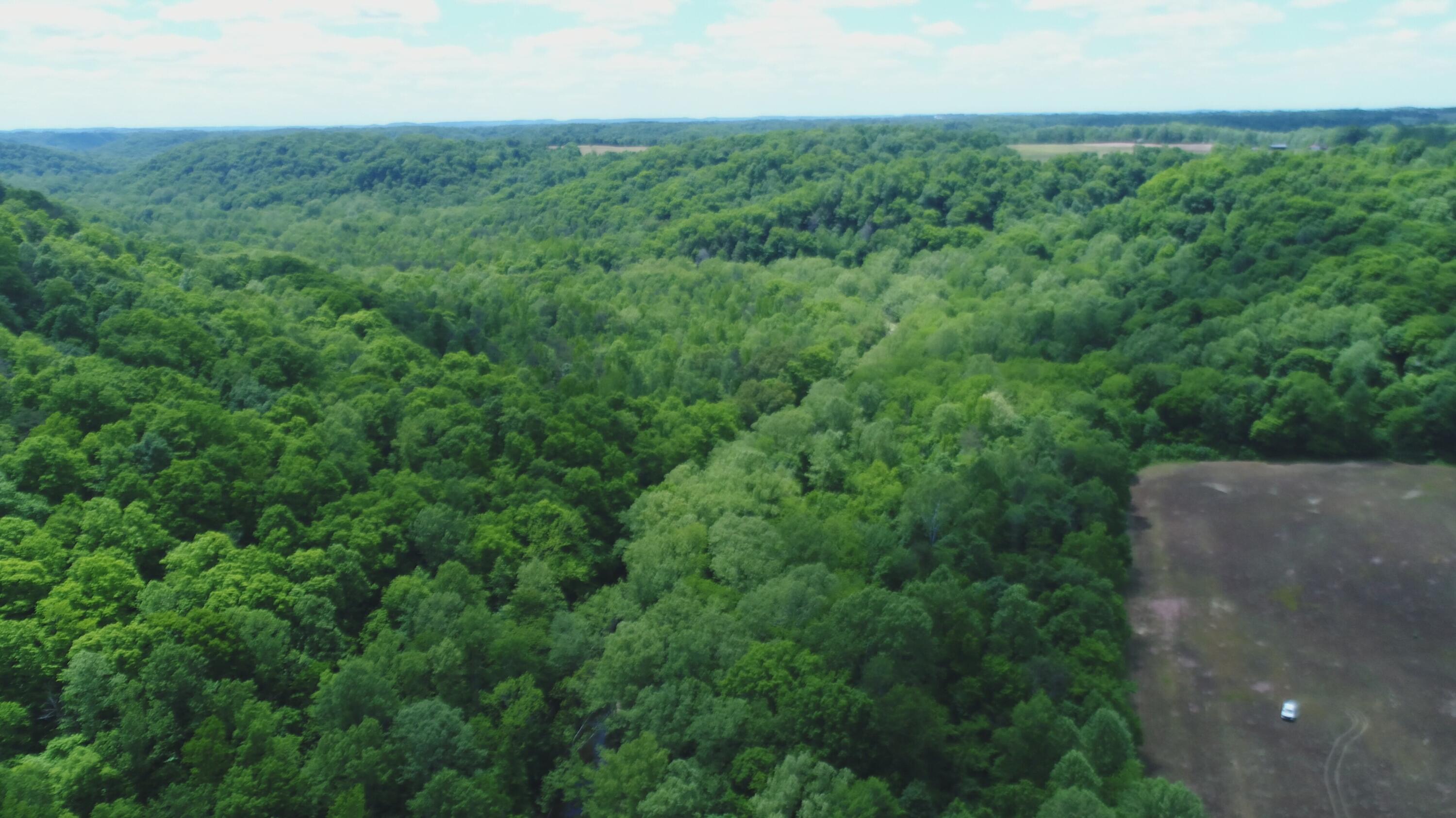 4570 Pointer Creek Road Property Photo 15