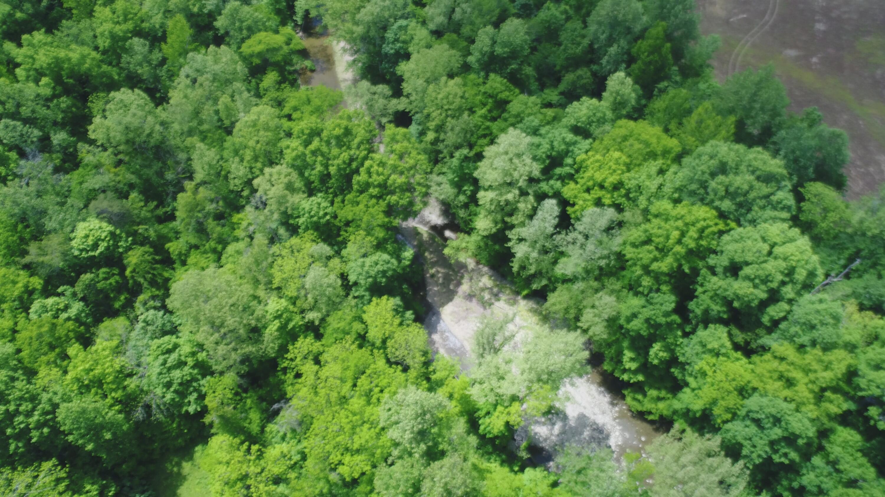 4570 Pointer Creek Road Property Photo 16