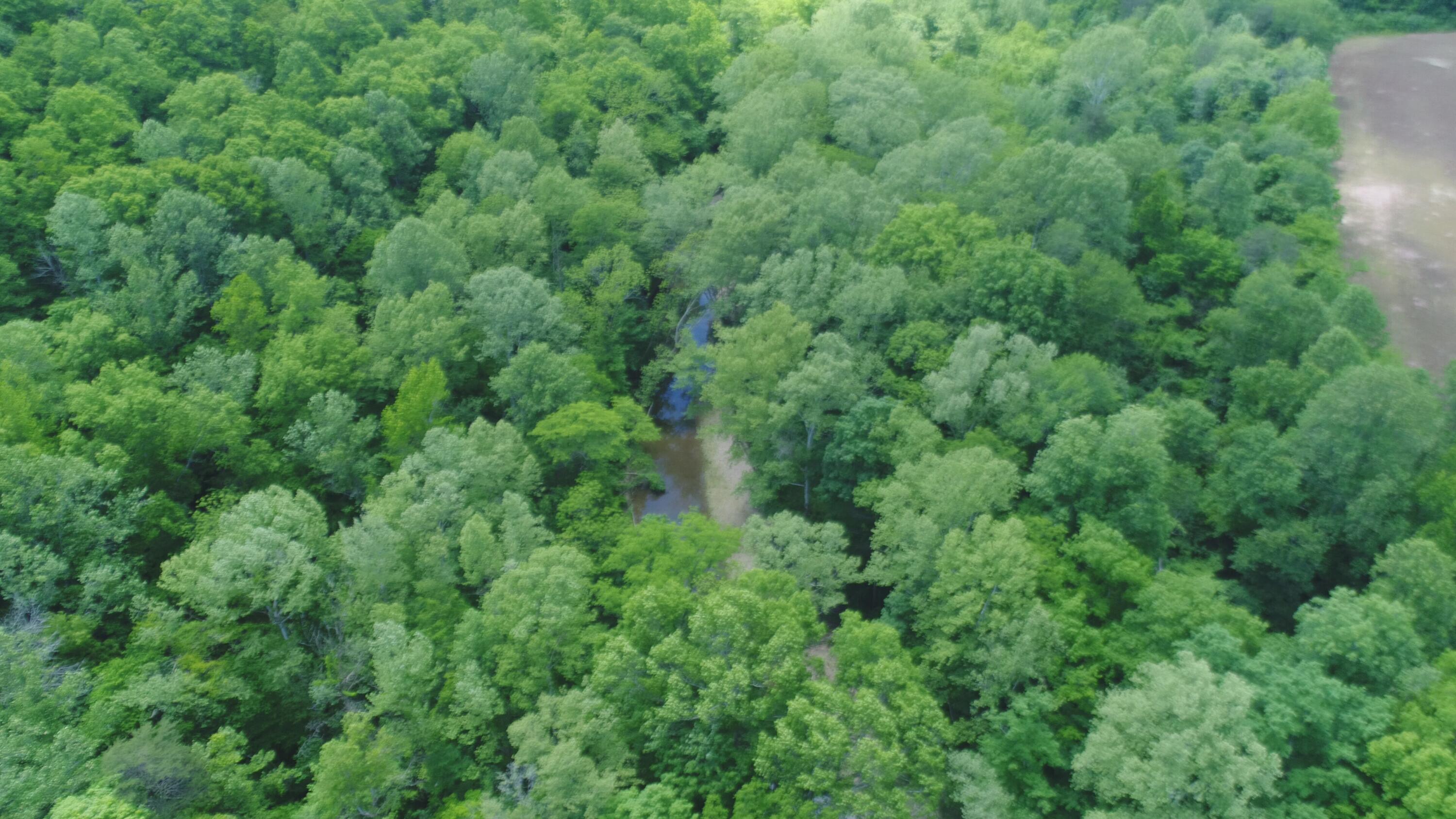 4570 Pointer Creek Road Property Photo 17