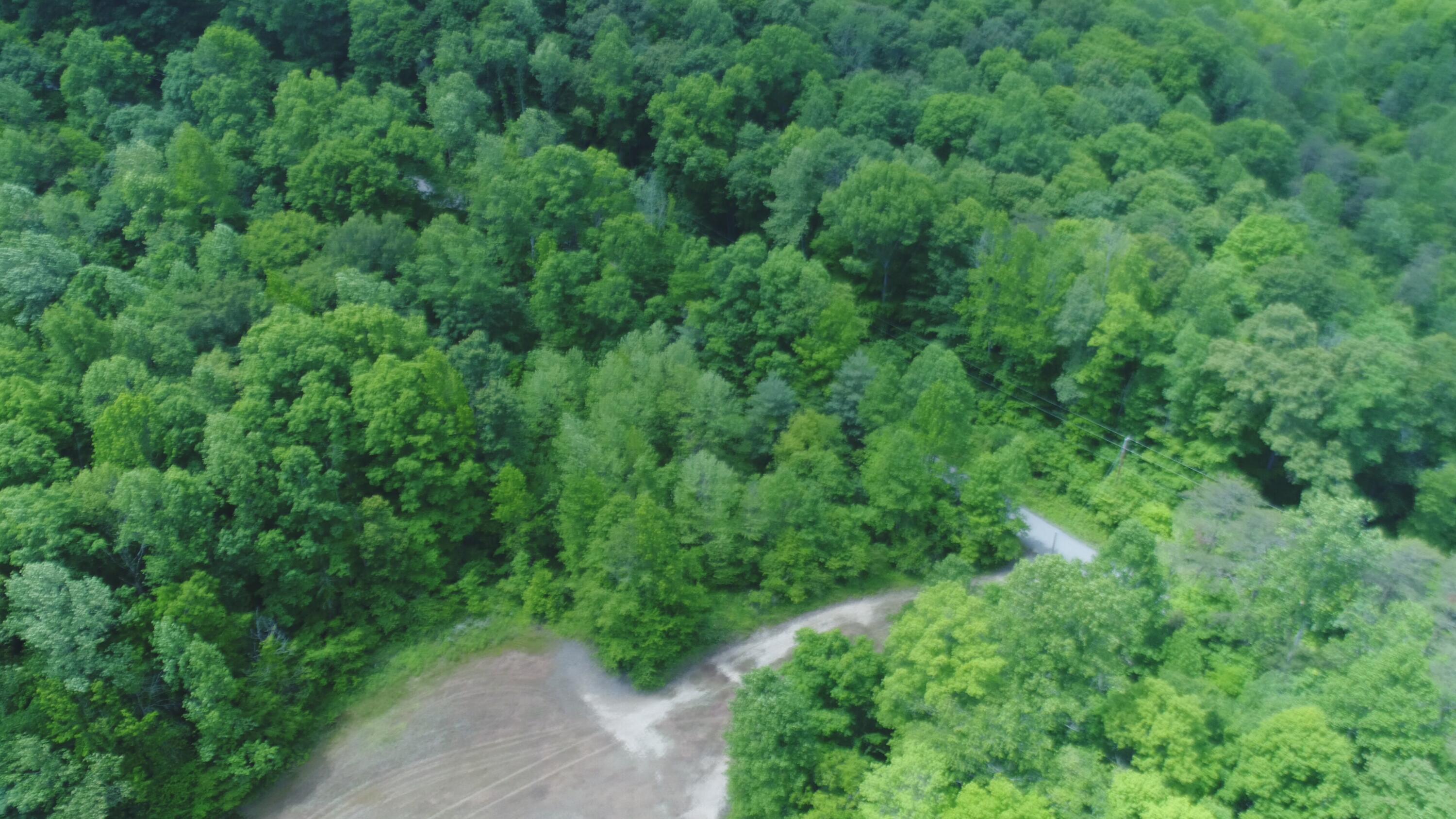 4570 Pointer Creek Road Property Photo 22